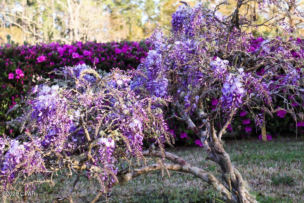 Image 29 For 6641 Cedar Street