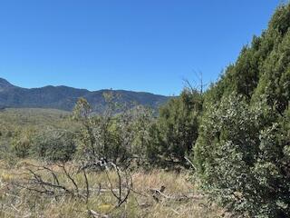 Homes for sale in Manzano, NM | Capilla Peak Rd, Manzano, NM 87016 | MLS# 1093137