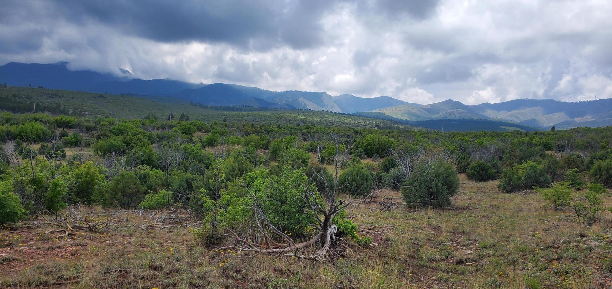 Homes for sale in Manzano, NM | Capilla Peak Rd, Manzano, NM 87016 | MLS# 1093137