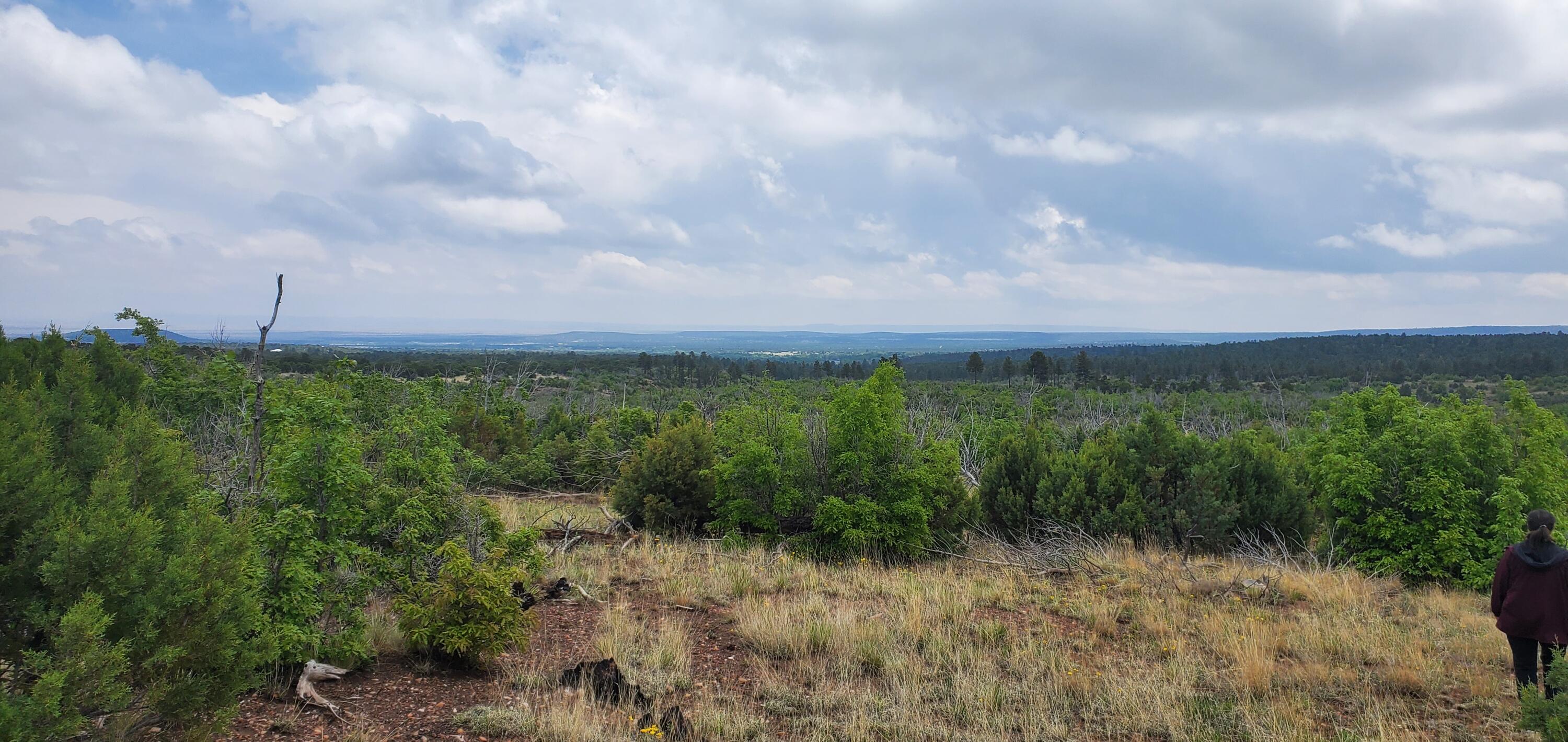 Homes for sale in Manzano, NM | Capilla Peak Rd, Manzano, NM 87016 | MLS# 1093137