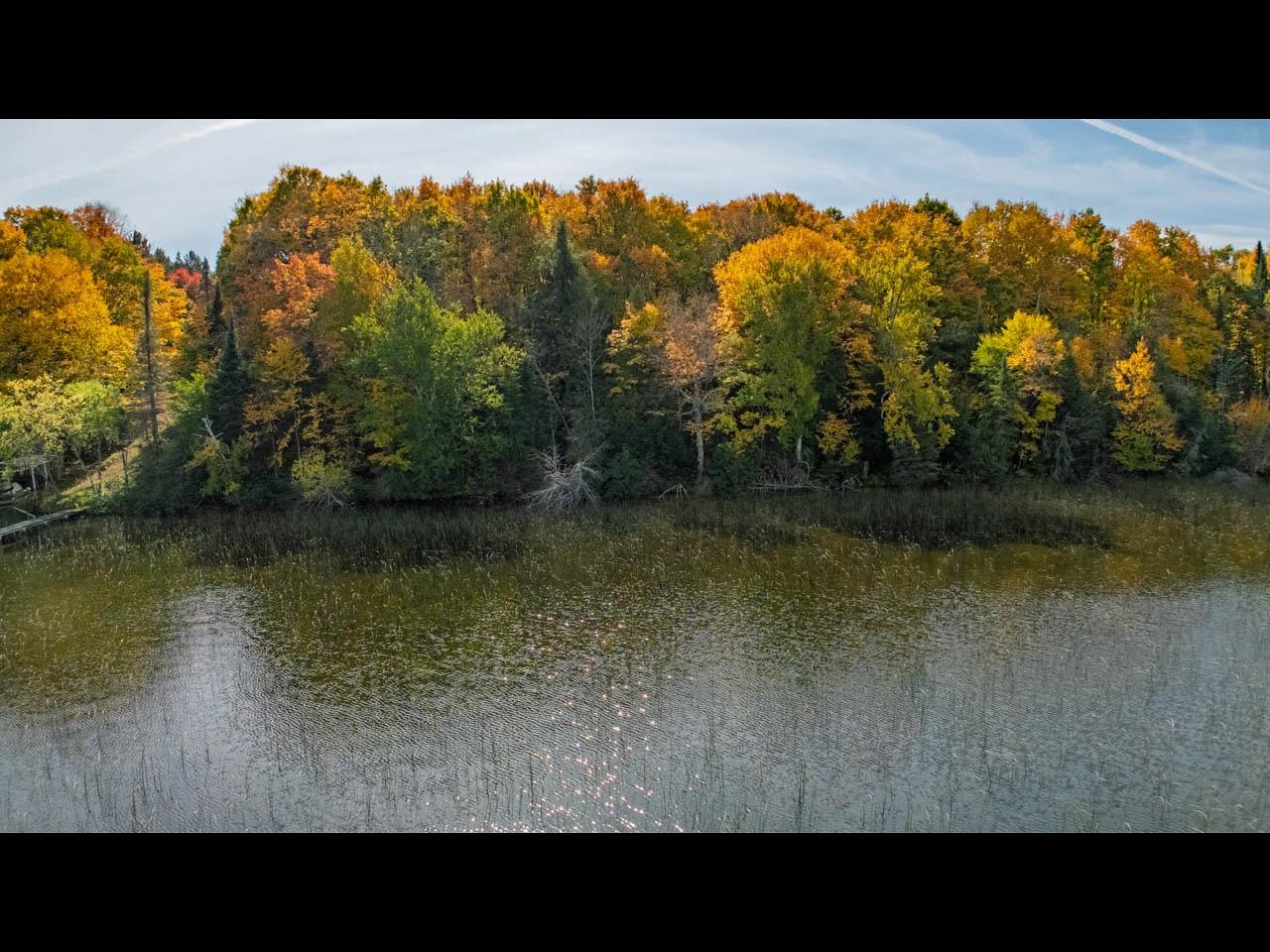 Harris Lake Property ON W Harris Lake Rd Photo 9