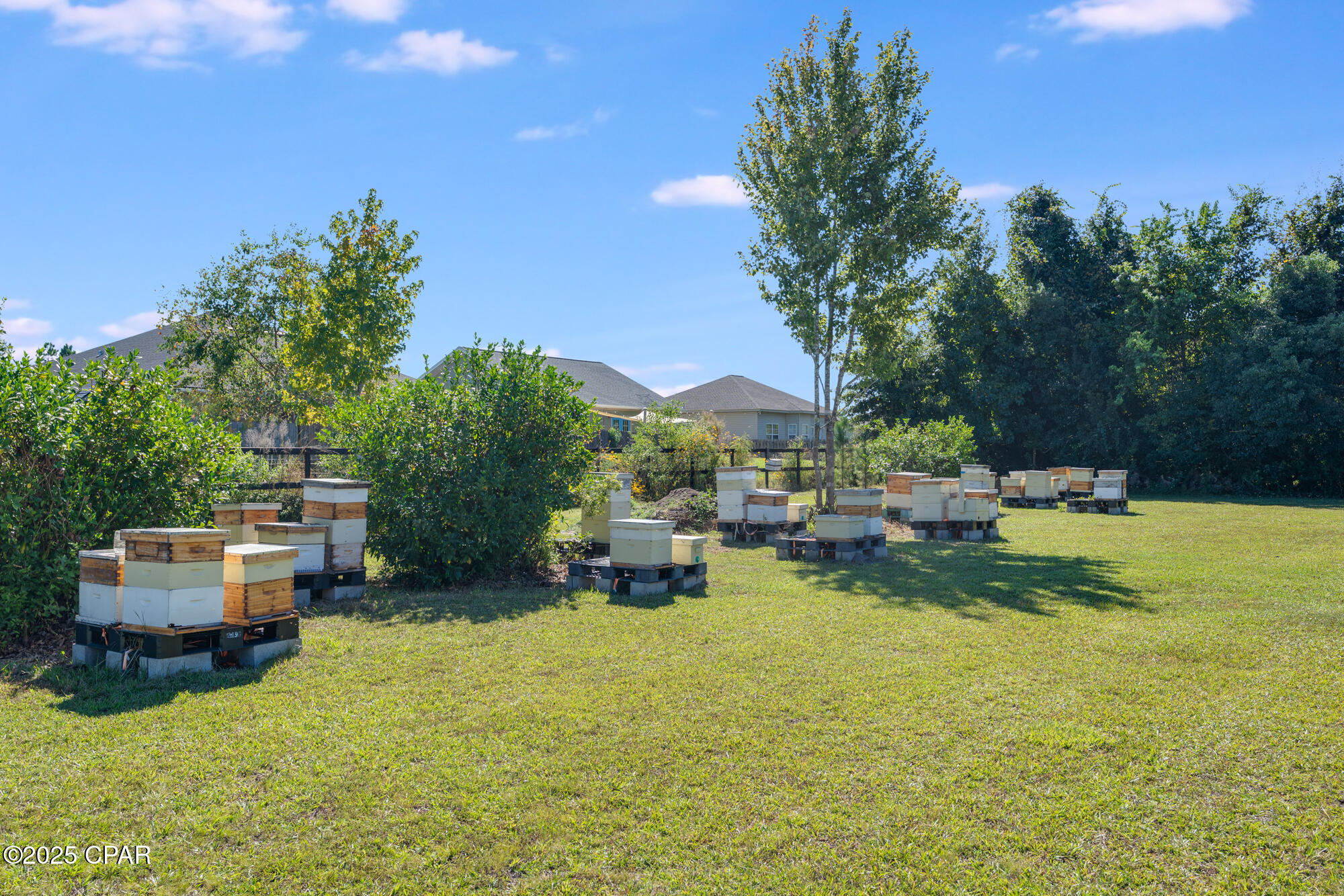 Image 50 For 4738 Cherokee Heights Road