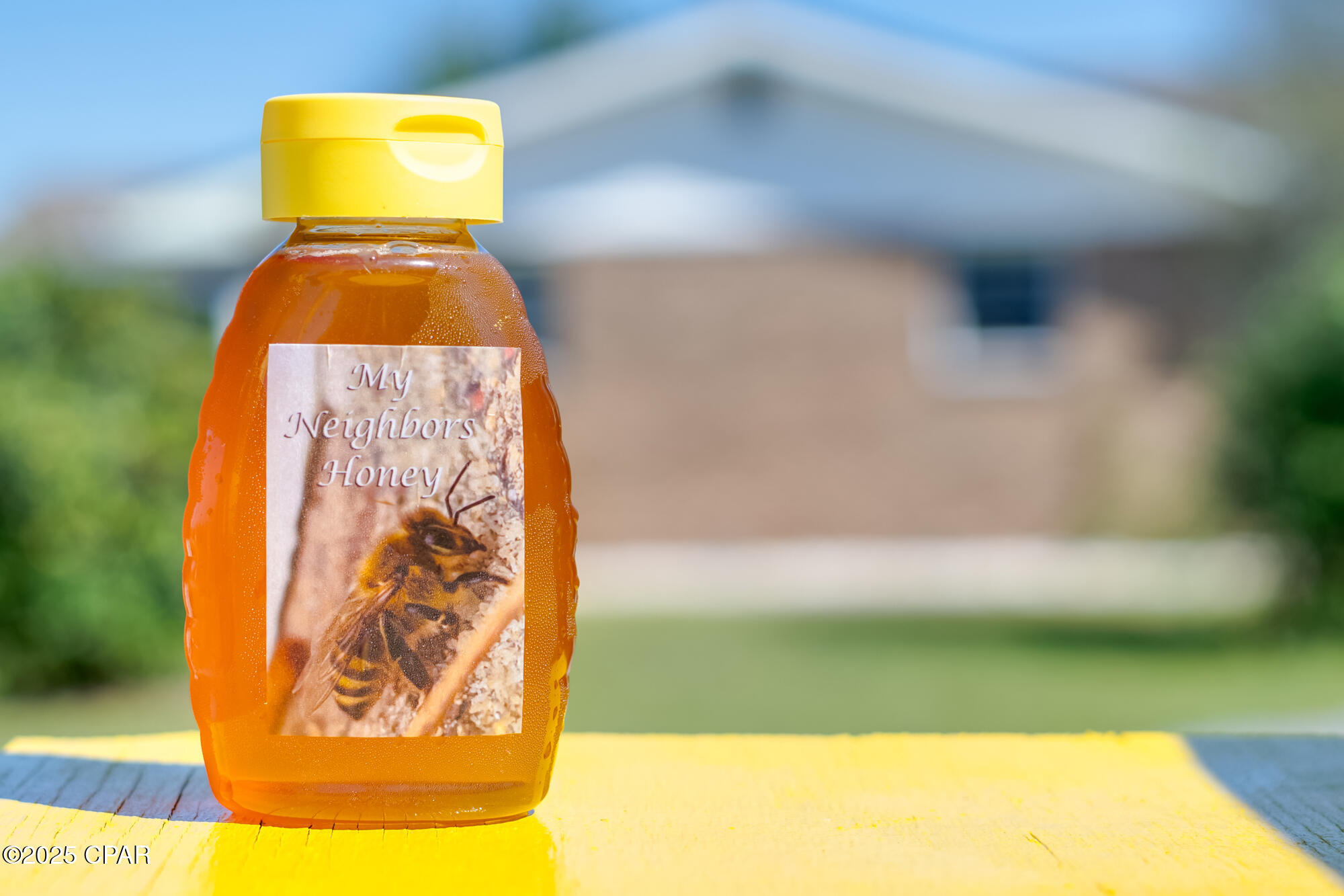 Image 54 For 4738 Cherokee Heights Road