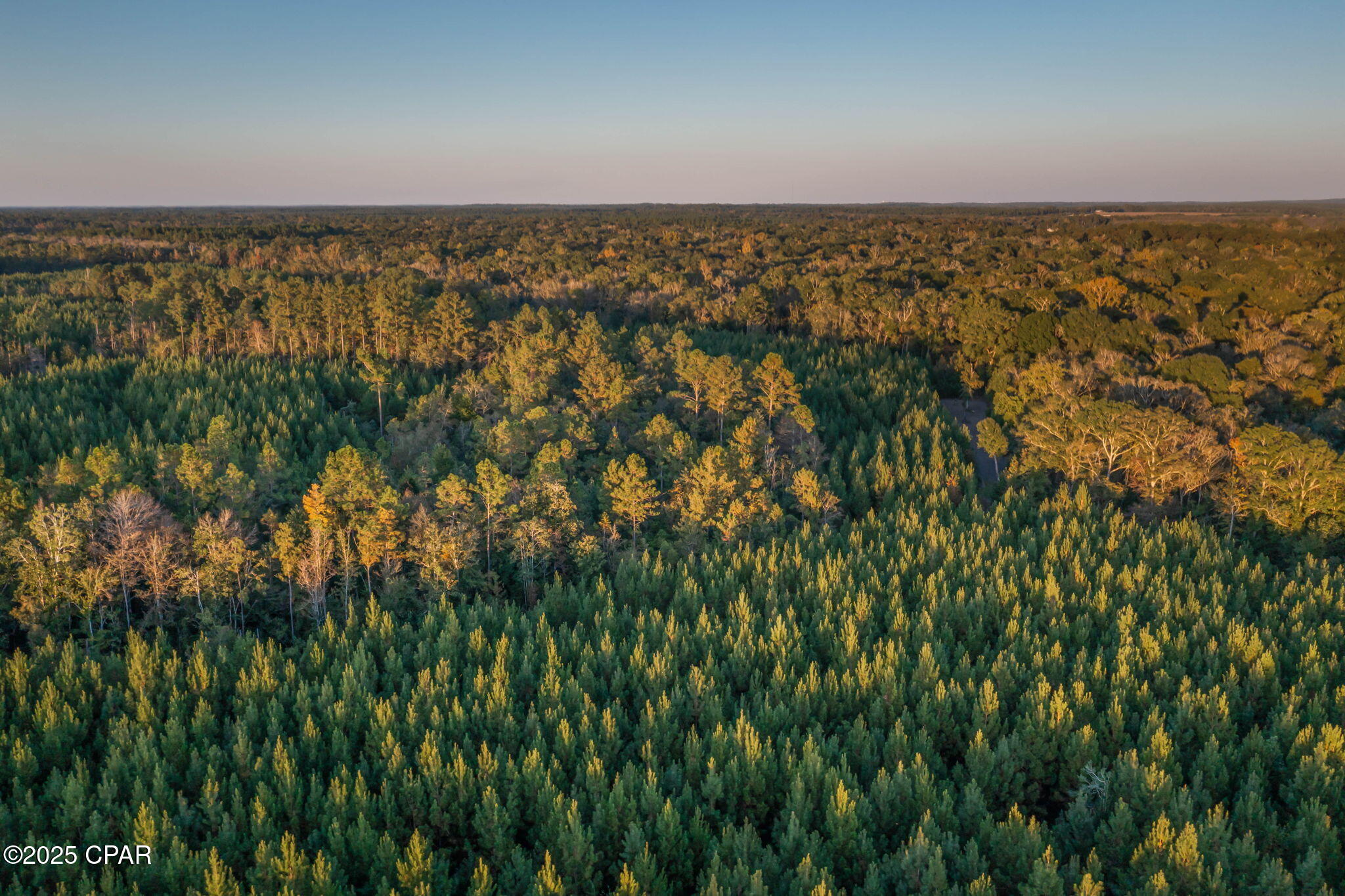 Image 10 For Xxx Open Creek Road South Lot