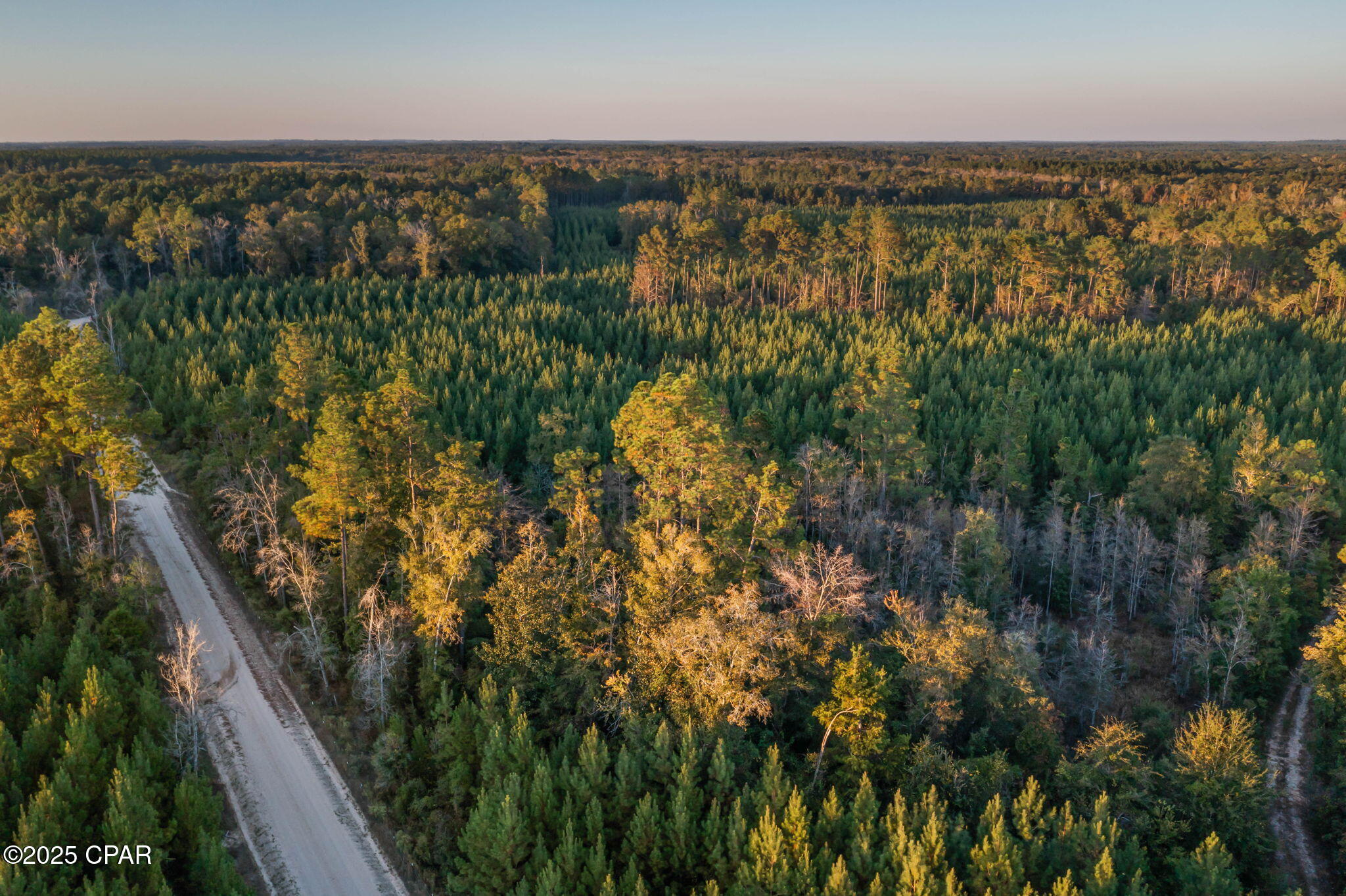 Image 11 For Xxx Open Creek Road South Lot