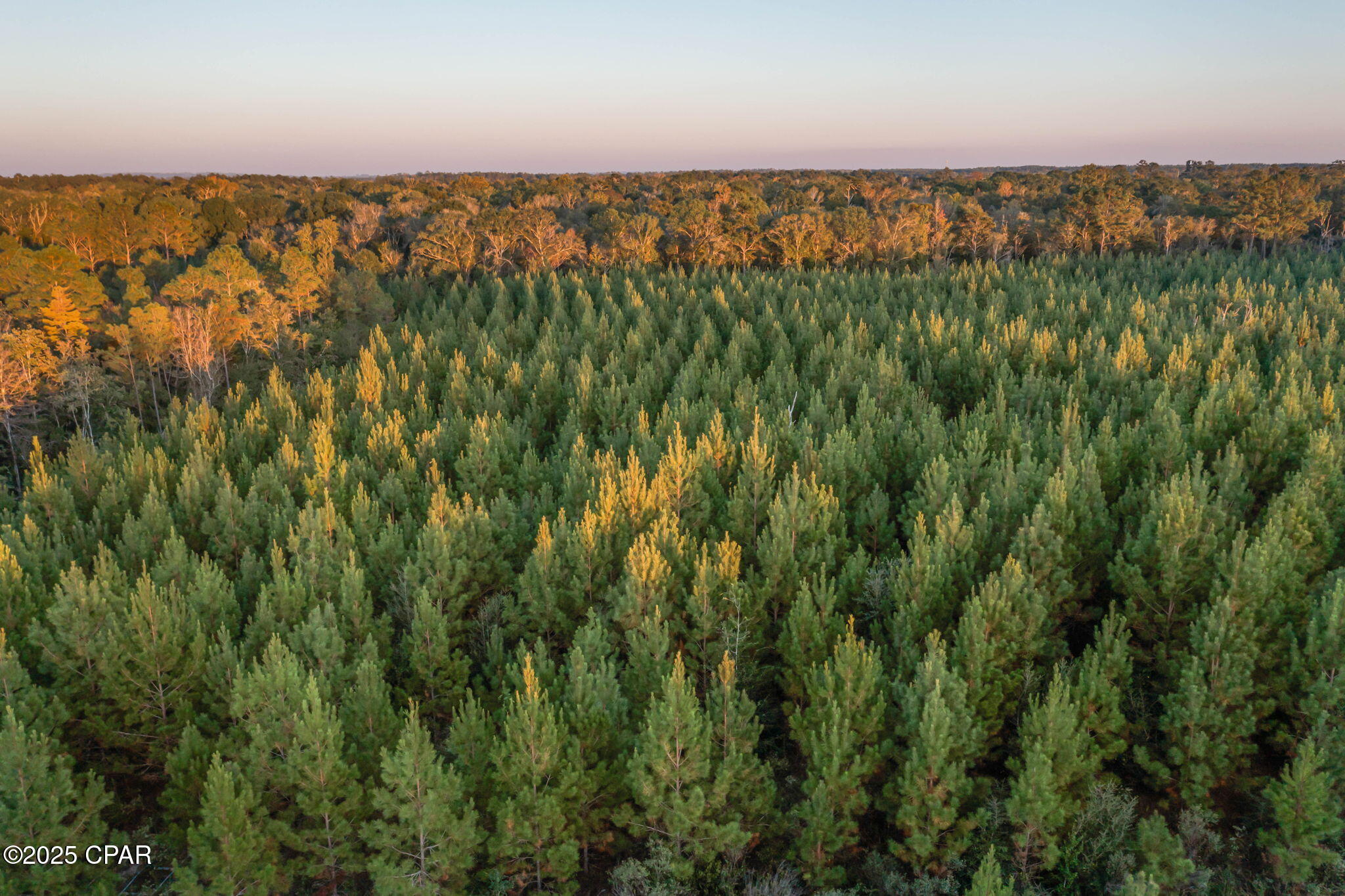 Image 13 For Xxx Open Creek Road South Lot