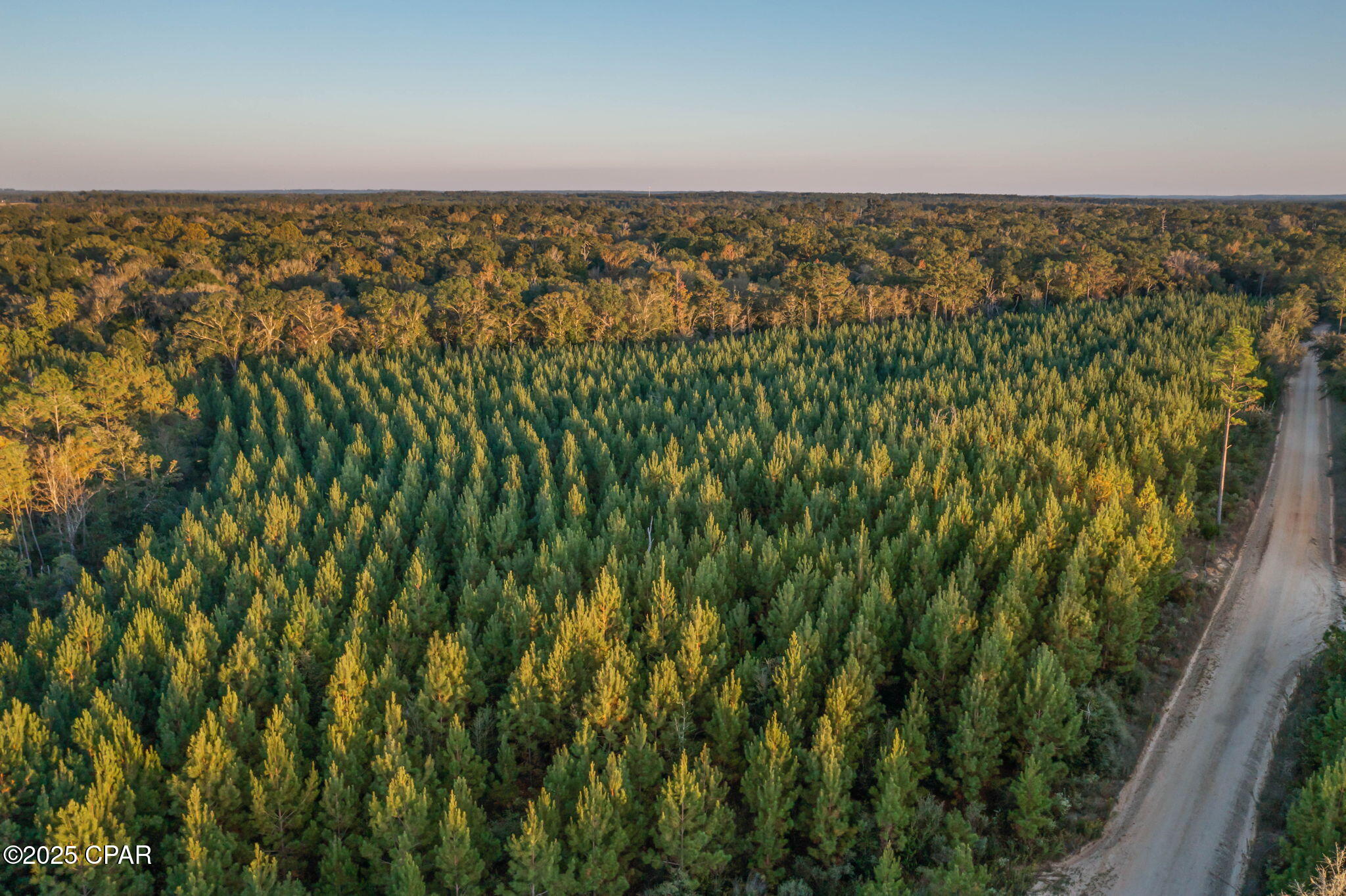 Image 7 For Xxx Open Creek Road South Lot