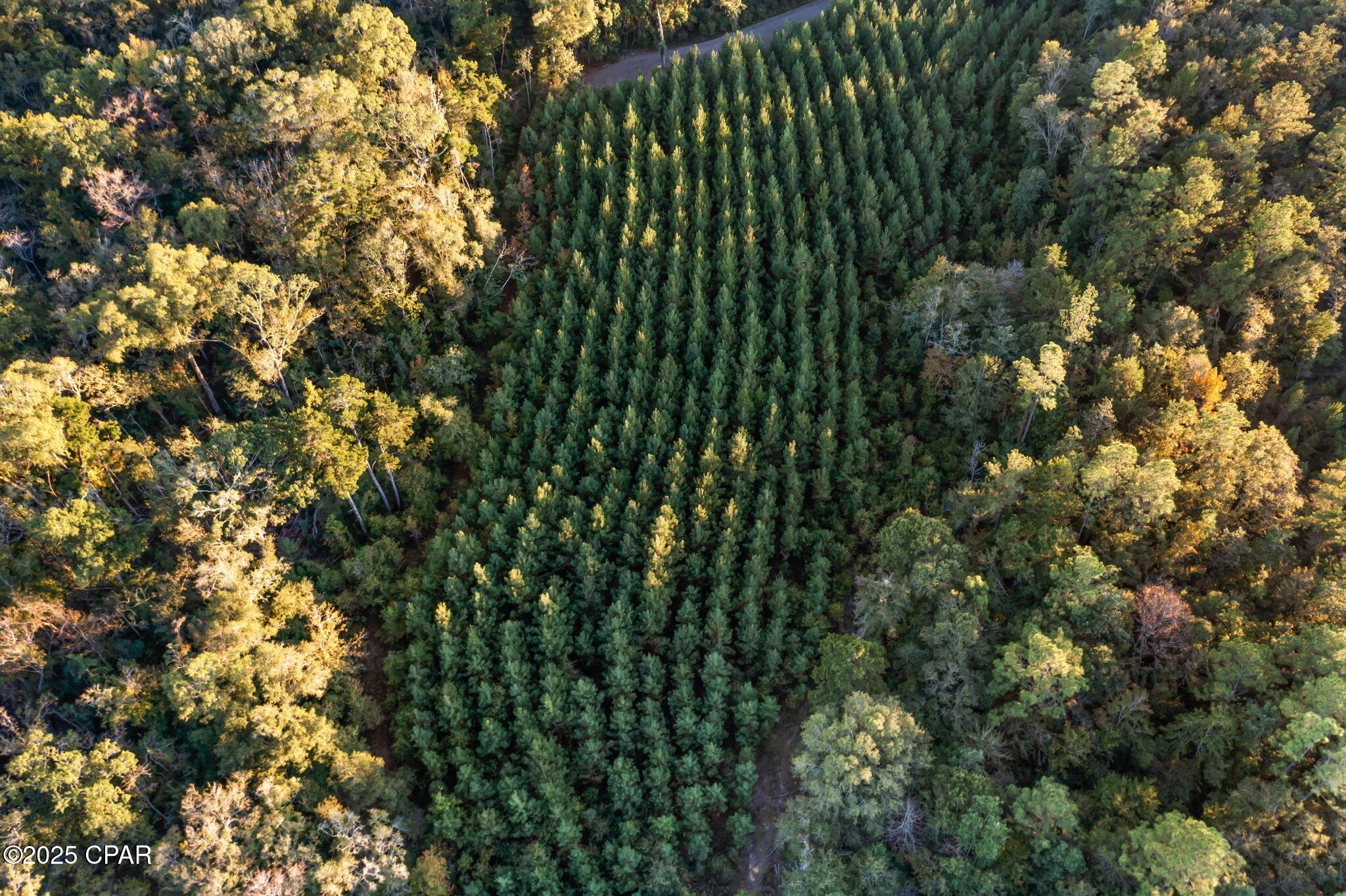 Image 12 For 1503 Open Creek Road North Lot