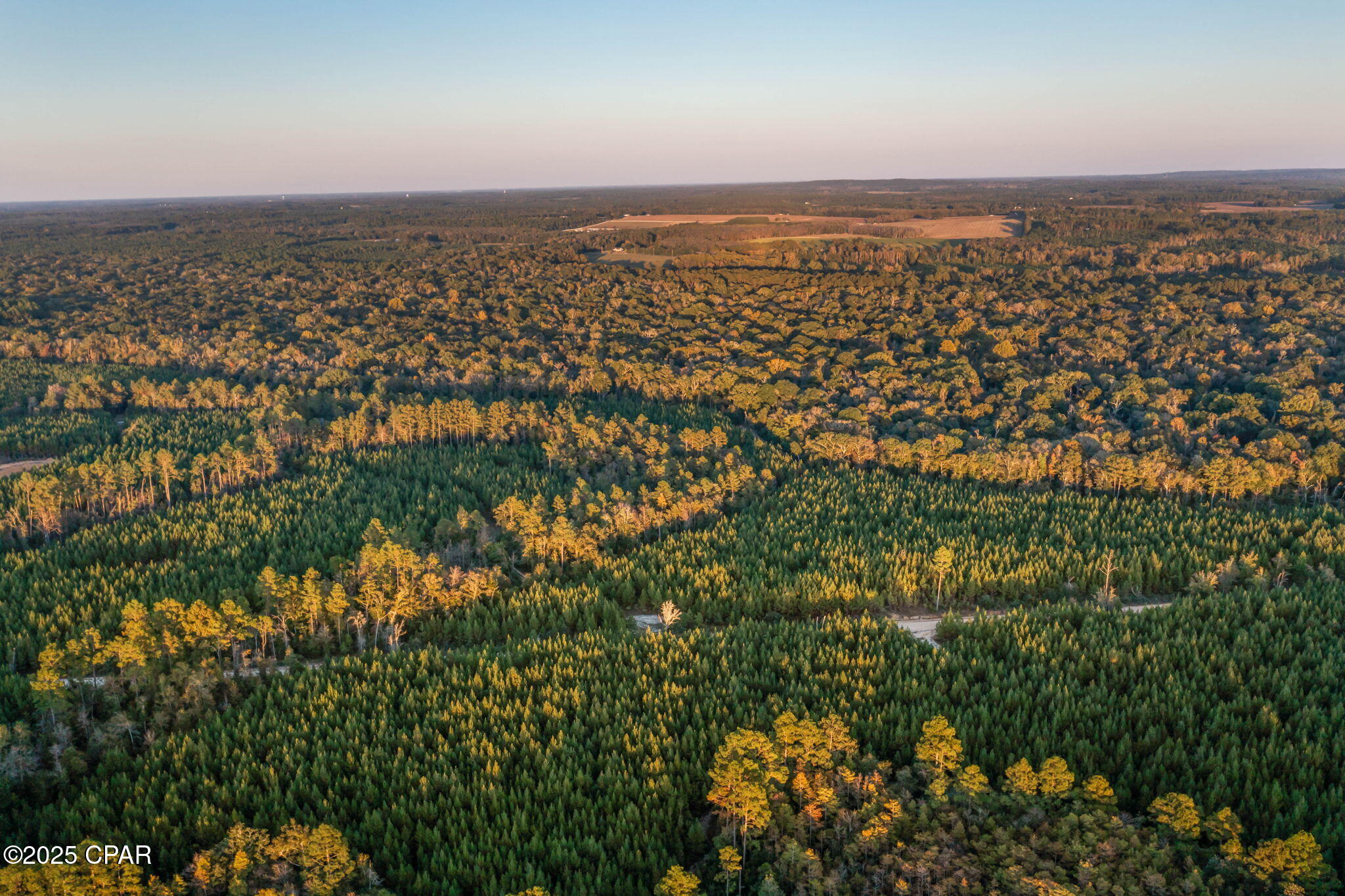 Image 15 For 1503 Open Creek Road North Lot