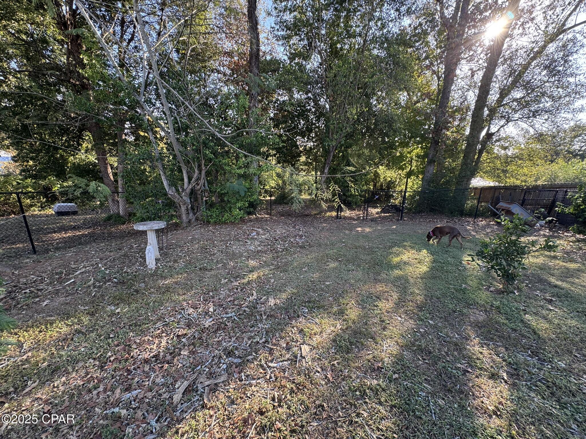 Image 61 For 707 Morgan Avenue