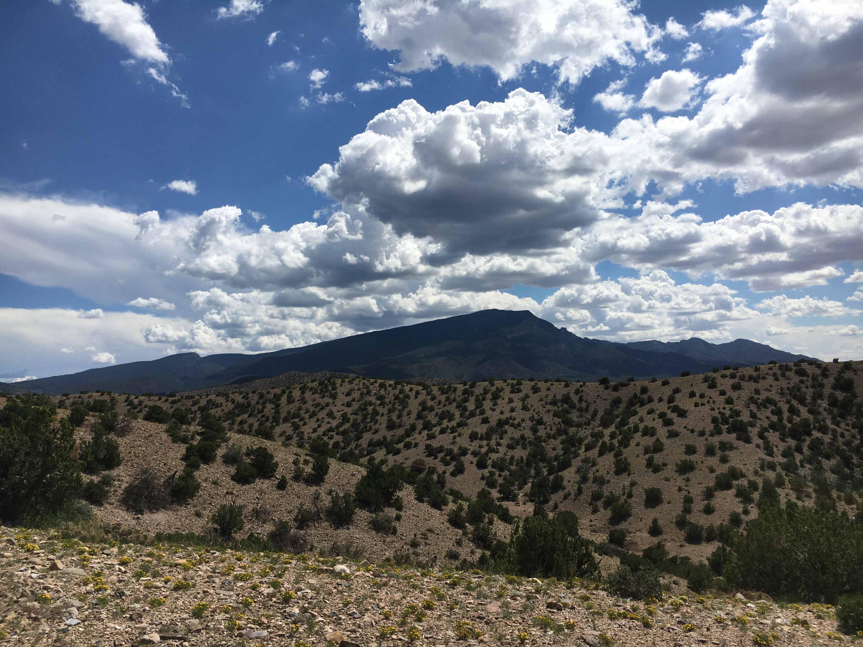 Homes for sale in Placitas, NM | Unit 3 Camino Halcon, Placitas, NM 87043 | MLS# 1093210