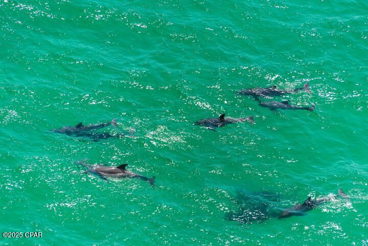 Image 29 For 16819 Front Beach Road 2106