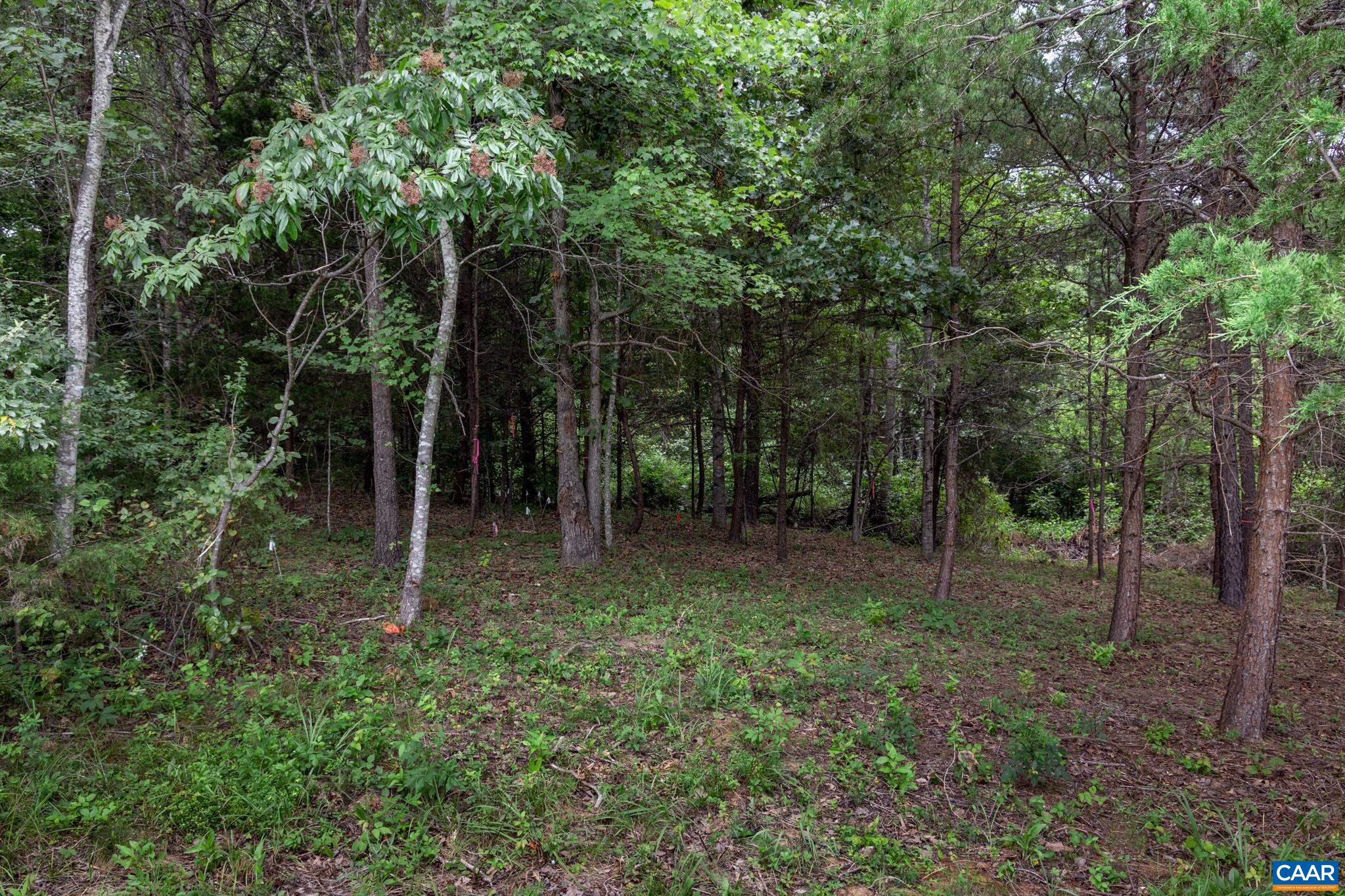 242 Palmer Pl