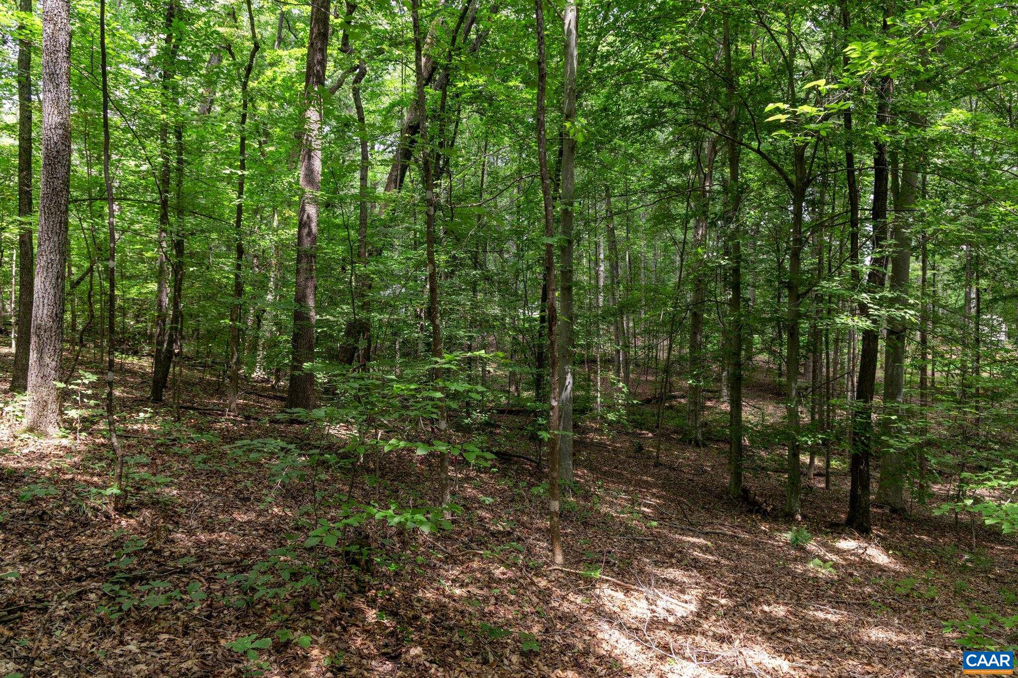 Lot 69 Palmer Pl