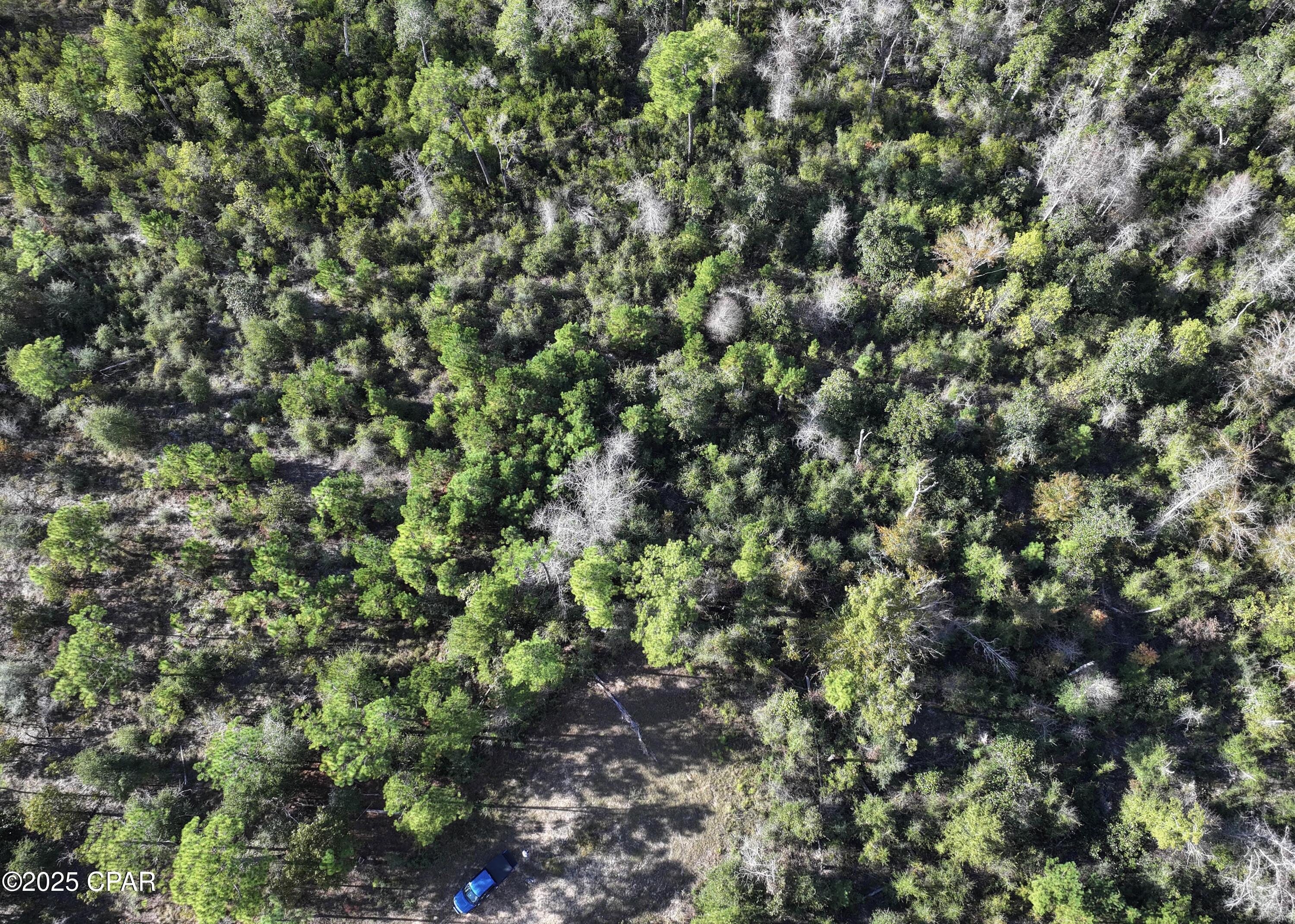 Image 4 For 0 Pisgah Court