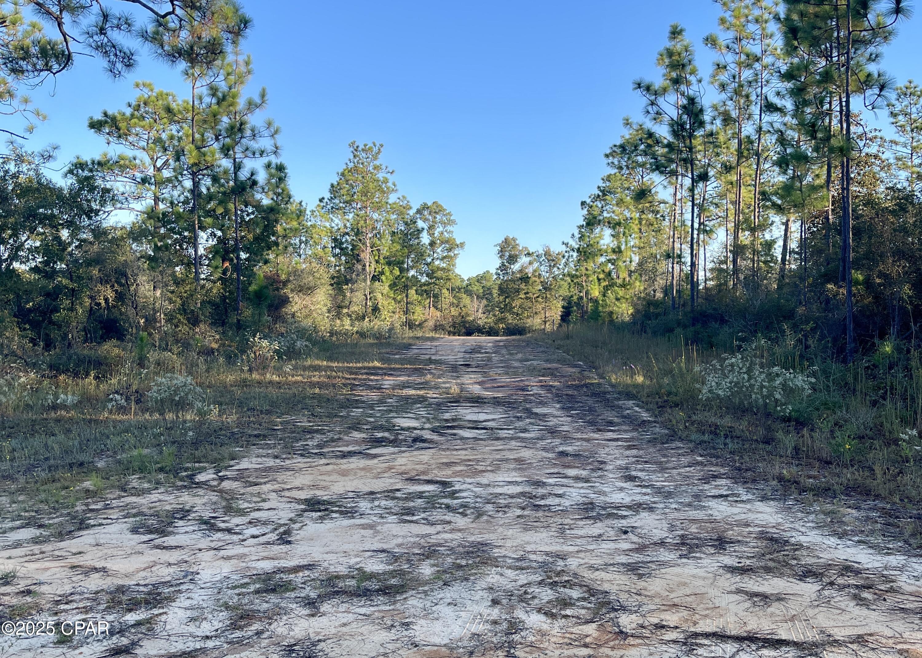 Image 6 For 0 Pisgah Court