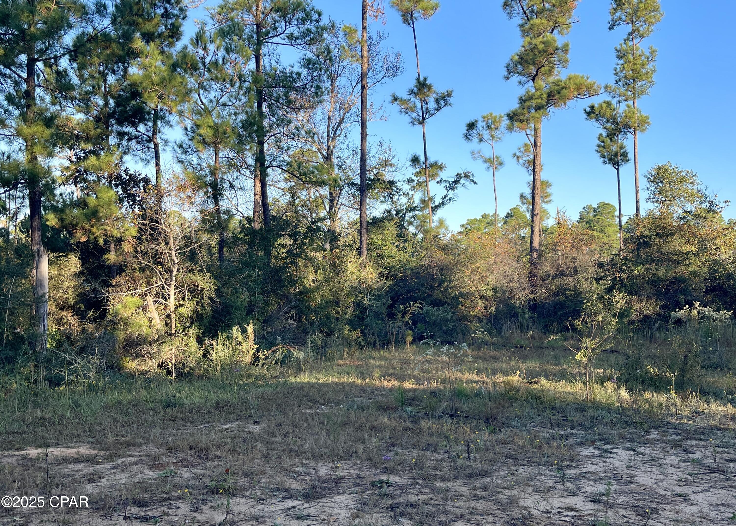 Image 7 For 0 Pisgah Court