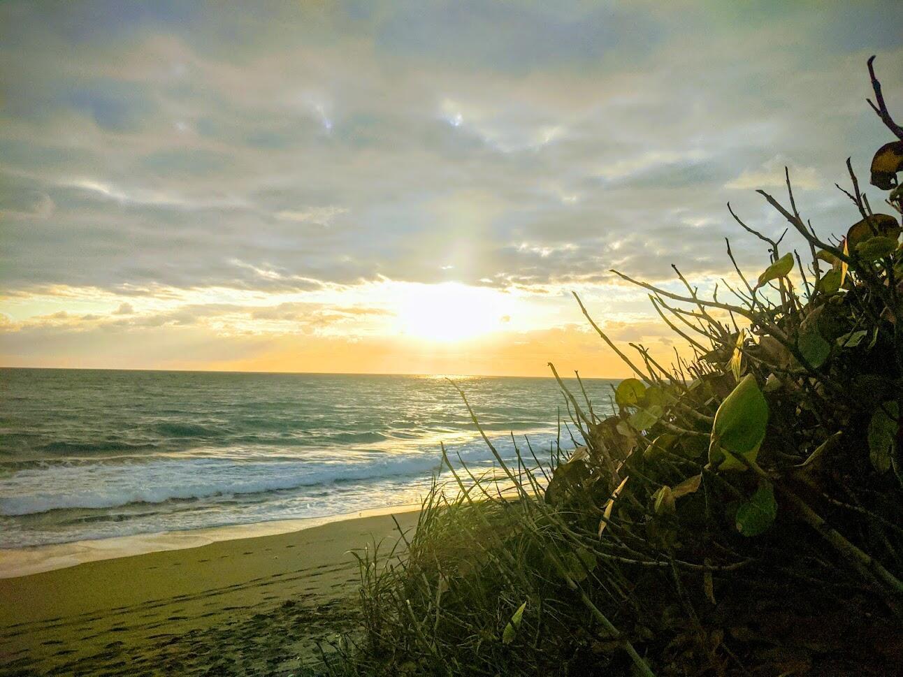 Homes for sale in Jupiter, FL | 6375 Riverwalk Lane #4, Jupiter, FL 33458 | MLS# R11133825