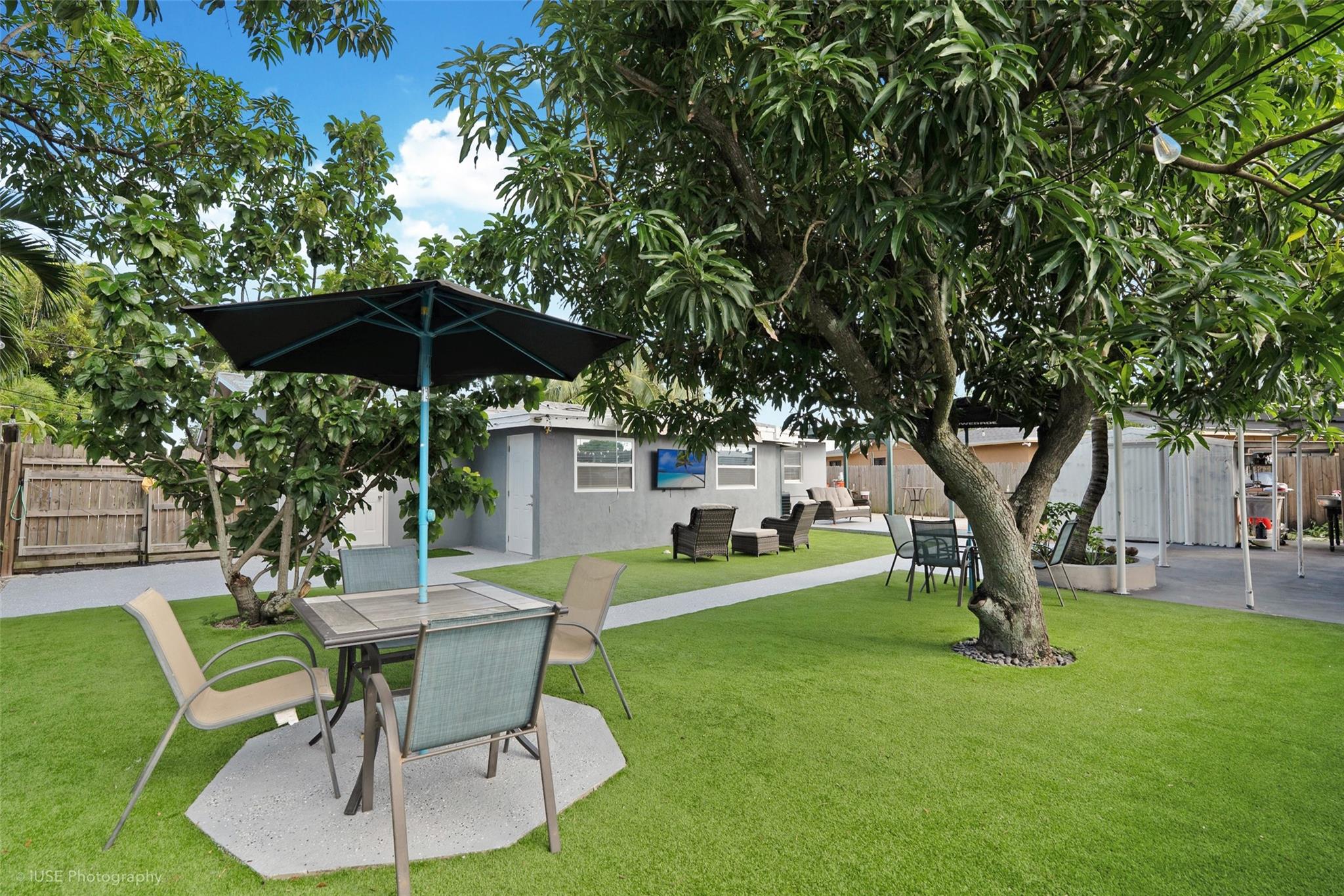 Bakyard with fruit trees