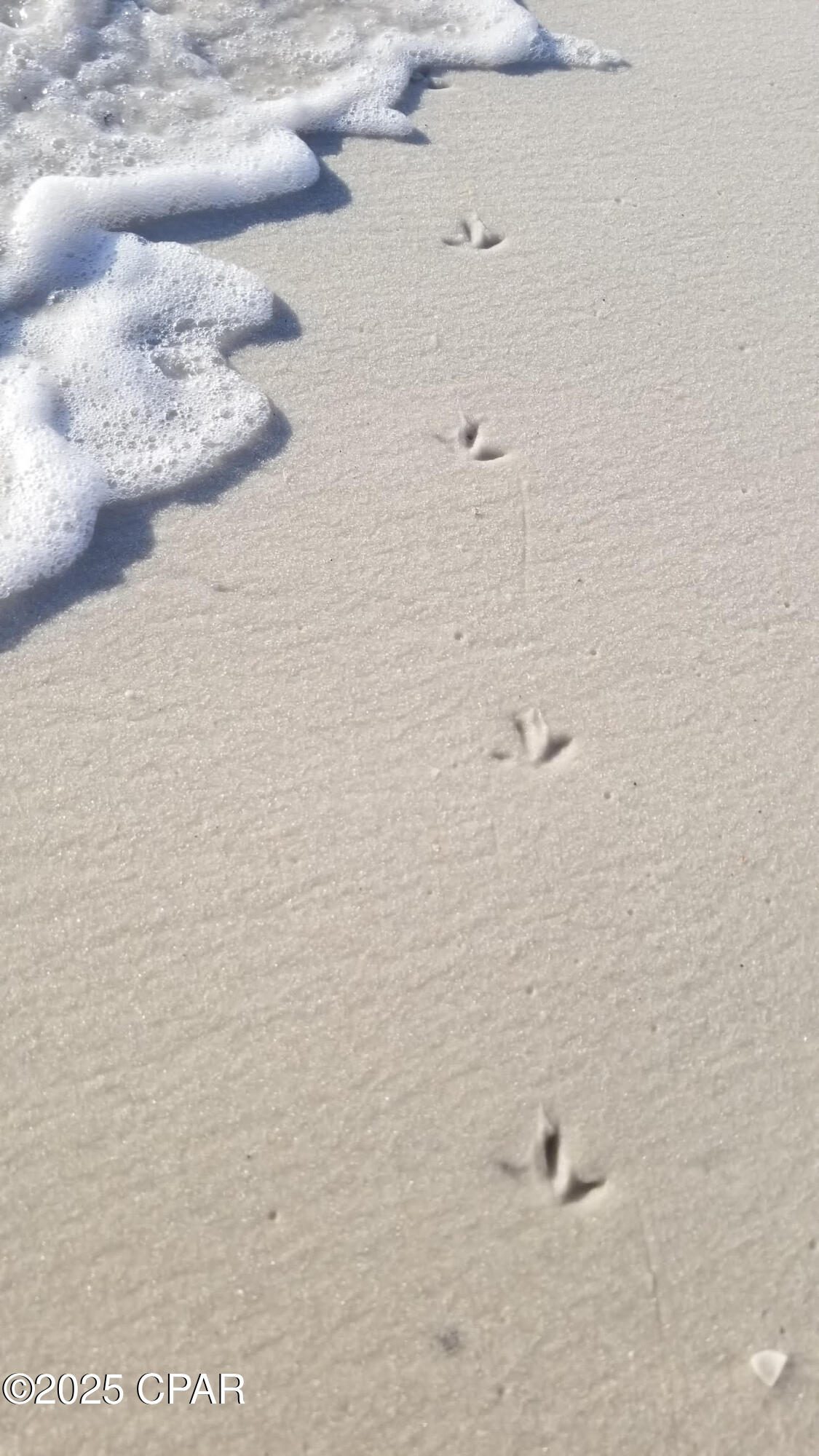 Image 43 For 959 Camp Fire Circle