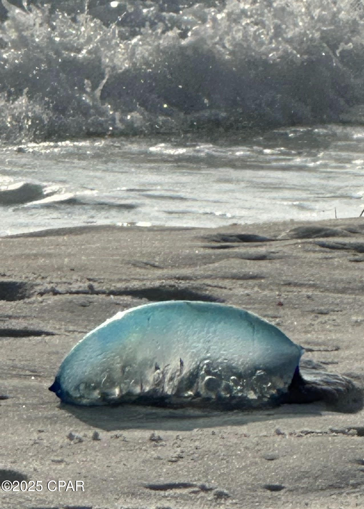 Image 44 For 959 Camp Fire Circle