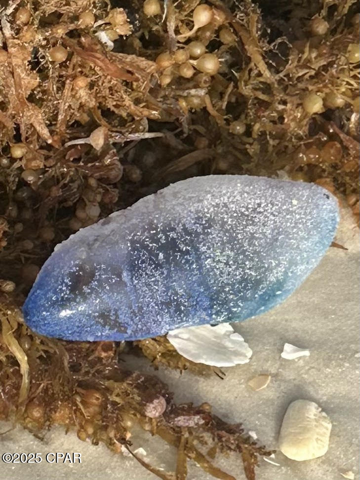 Image 47 For 959 Camp Fire Circle