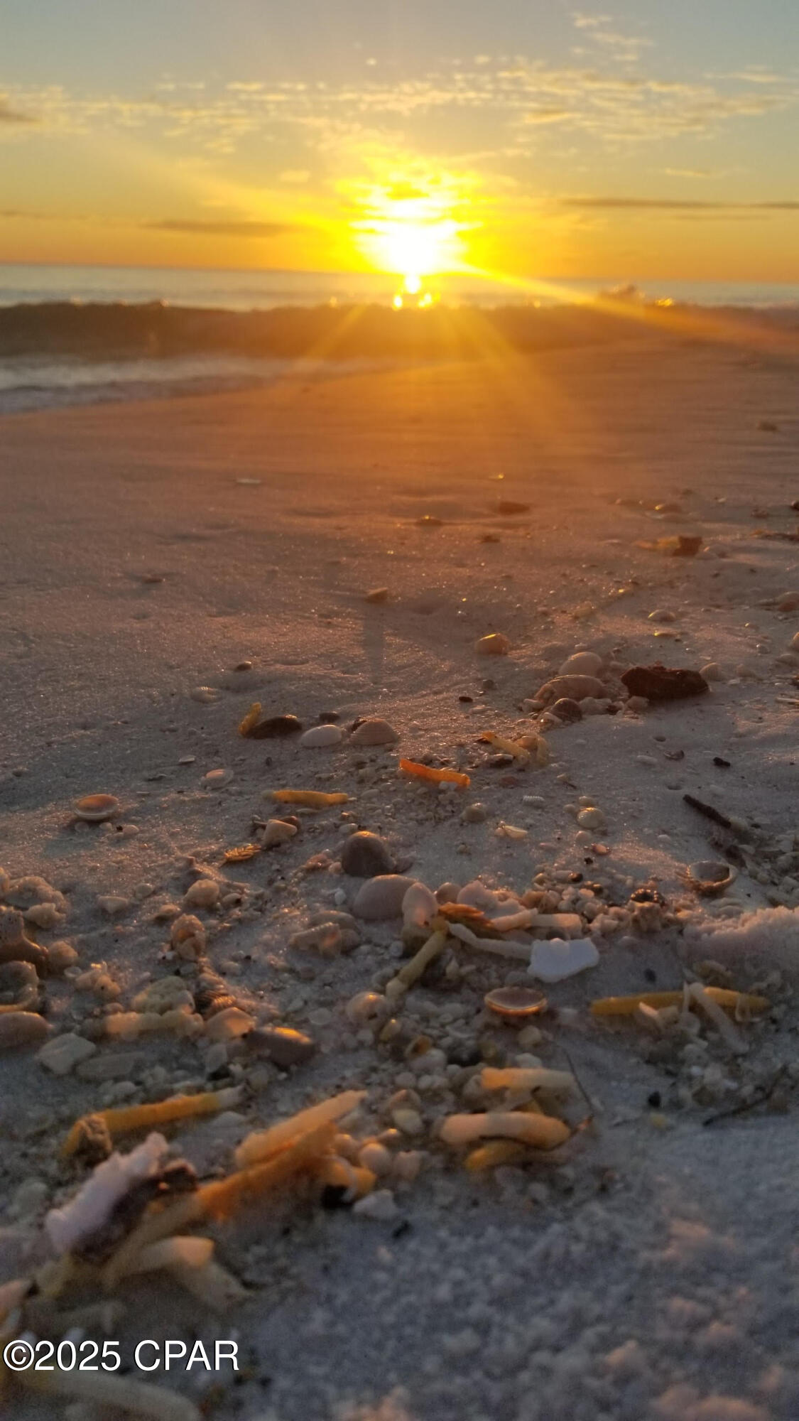 Image 48 For 959 Camp Fire Circle