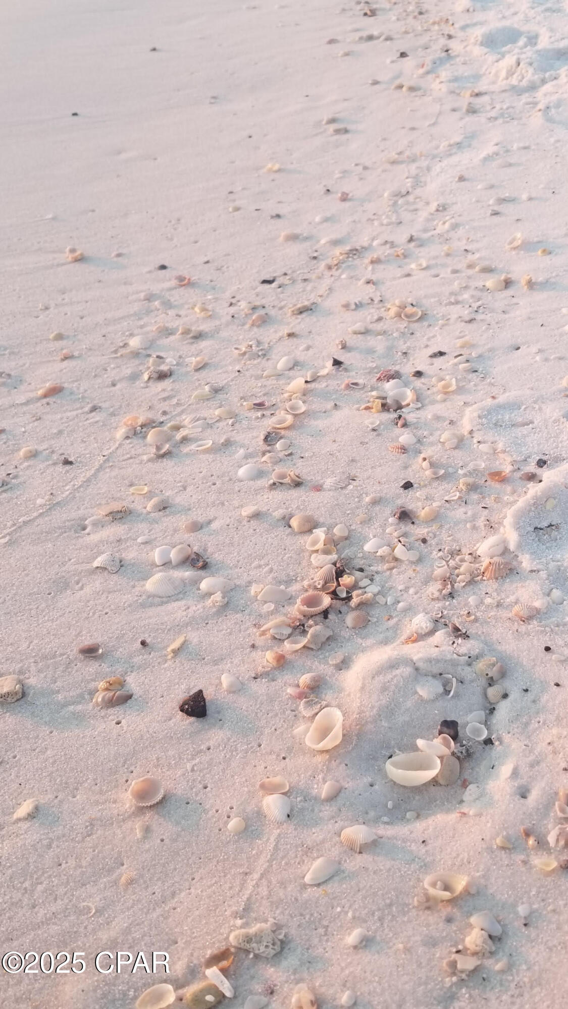 Image 49 For 959 Camp Fire Circle