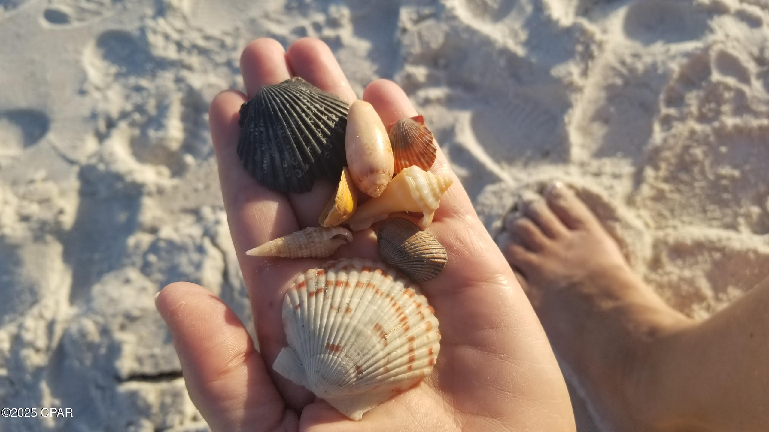 Image 50 For 959 Camp Fire Circle