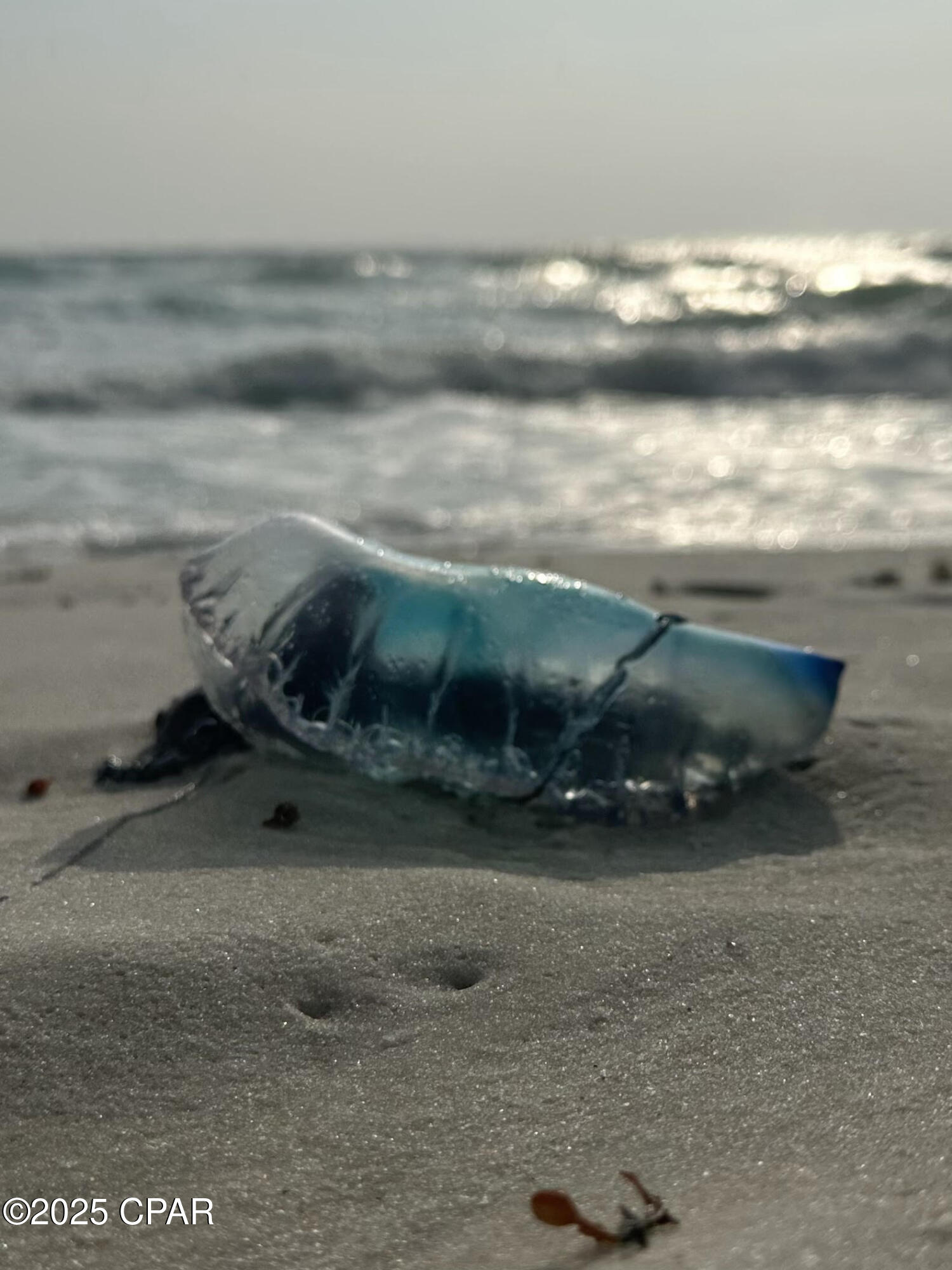 Image 51 For 959 Camp Fire Circle