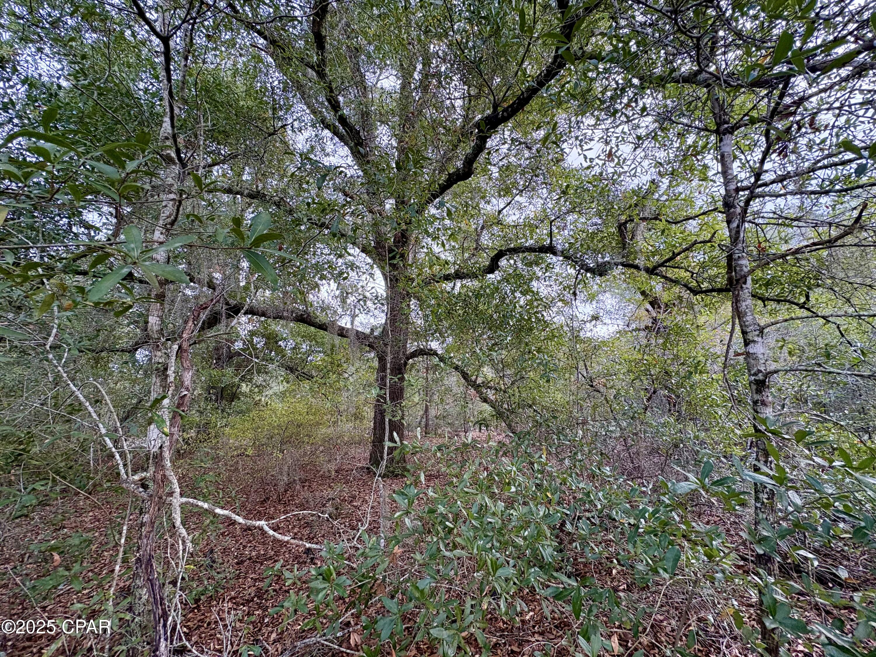 Details for Lot 14 Sadorus Avenue, Alford, FL 32420