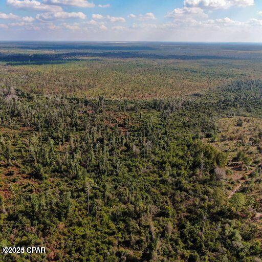 Image 2 For 21526 Isoletta Lane