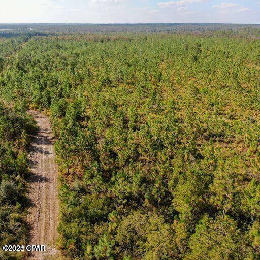 Image 7 For 21526 Isoletta Lane