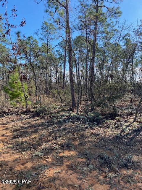 Listing Details for 00 Orange Peel, Marianna, FL 32448