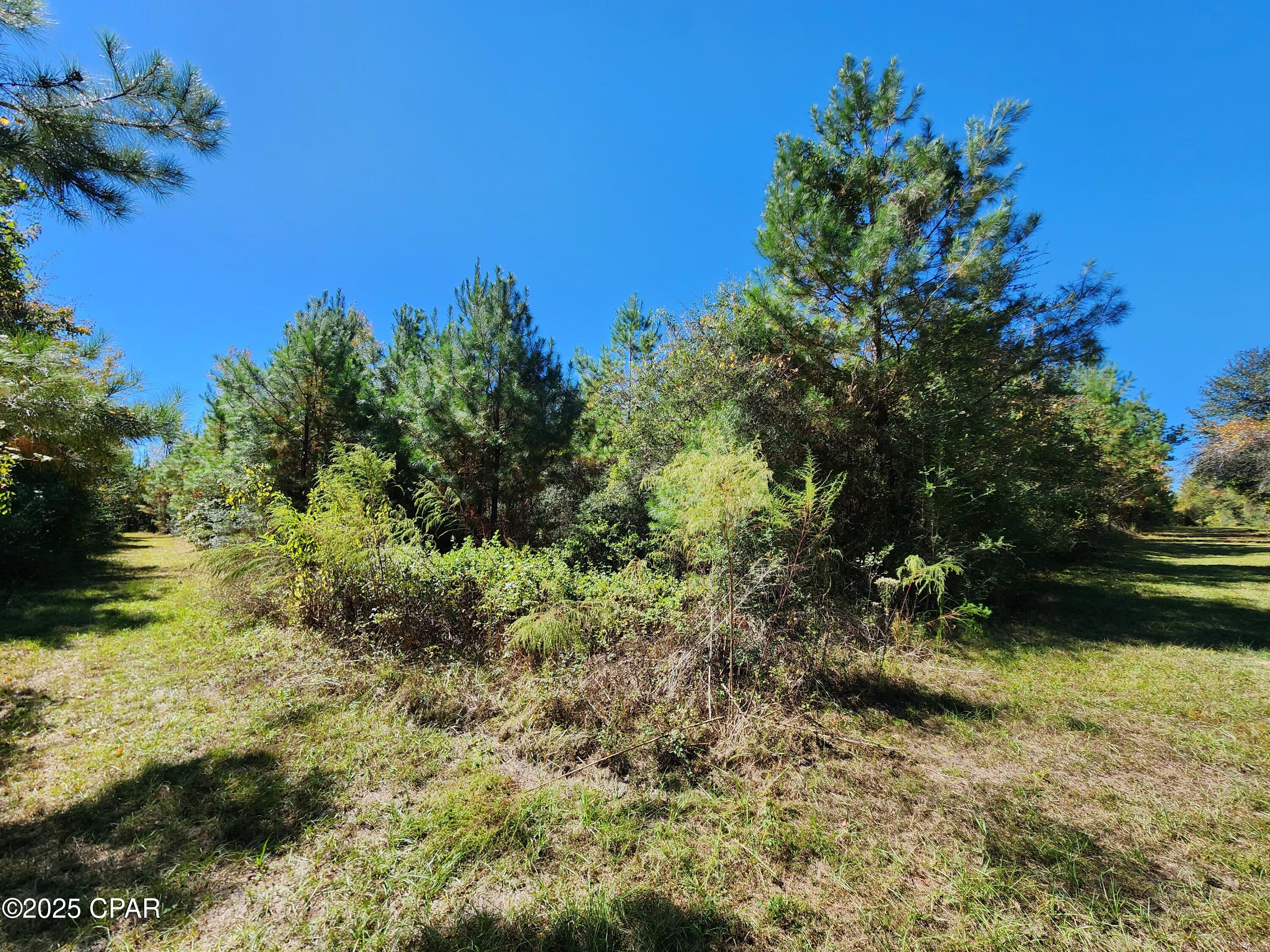 Details for 0000 Pineridge Church Road, Marianna, FL 32448