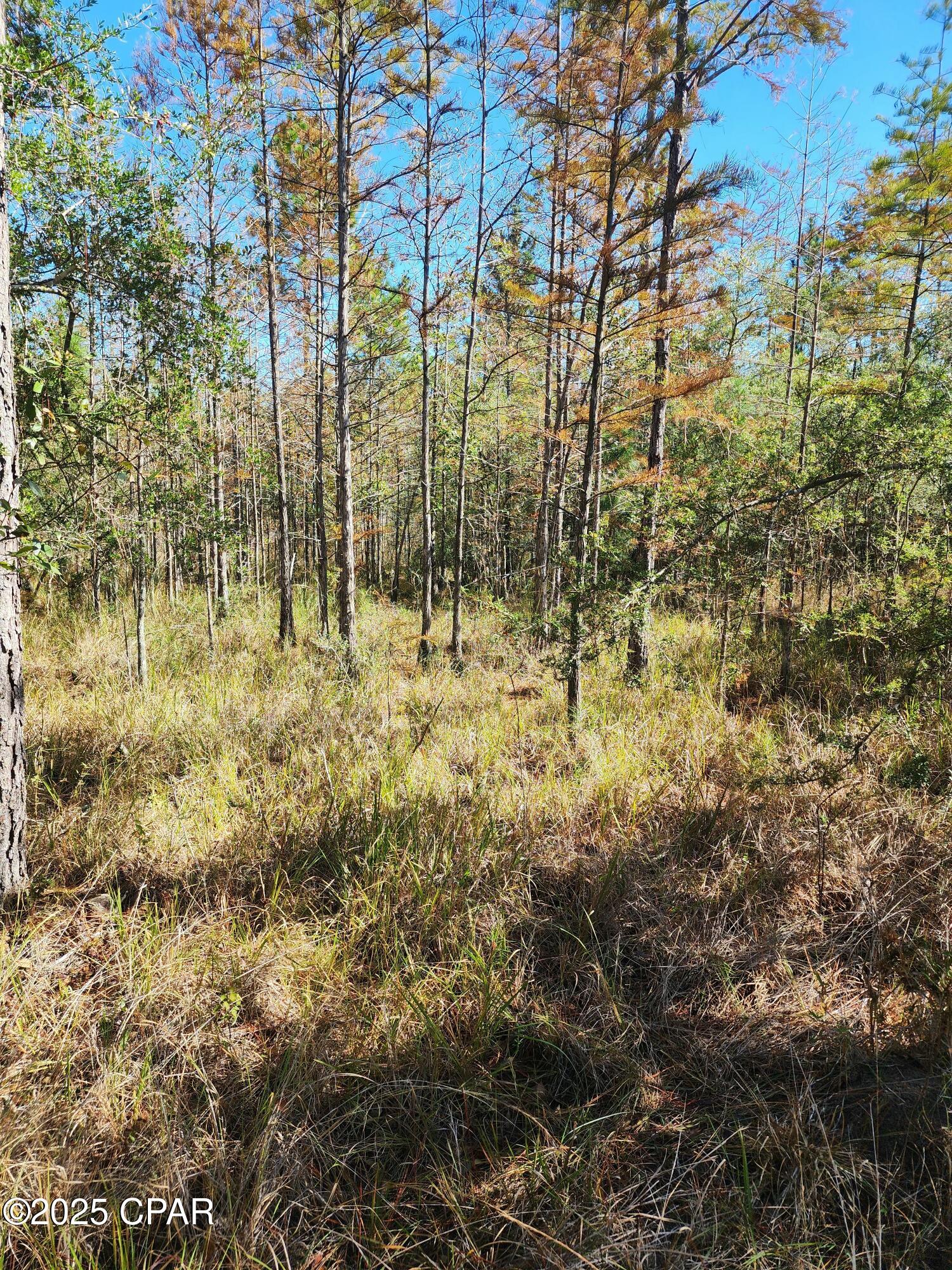 Image 10 For 0000 Pineridge Church Road