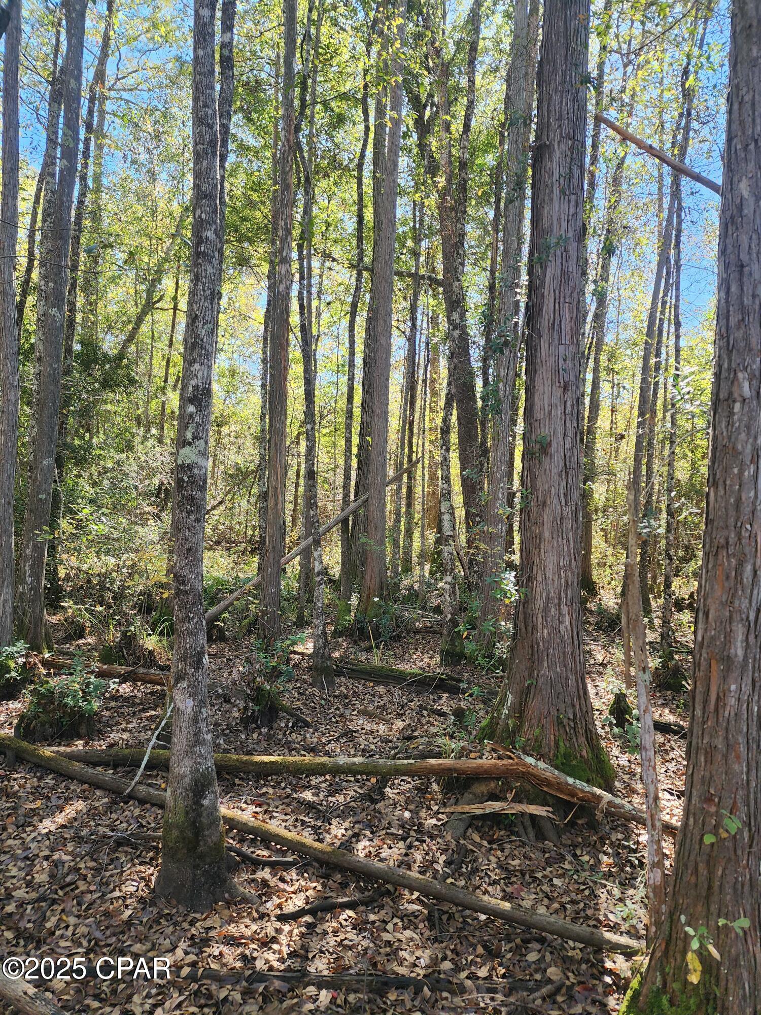 Image 11 For 0000 Pineridge Church Road