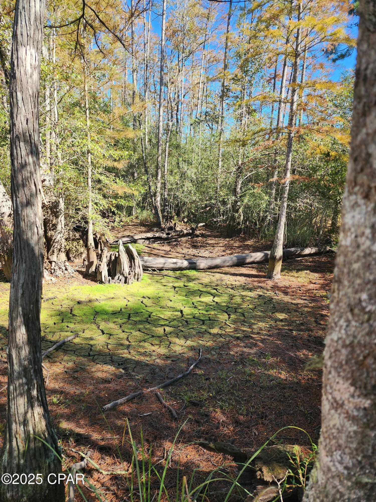 Image 12 For 0000 Pineridge Church Road