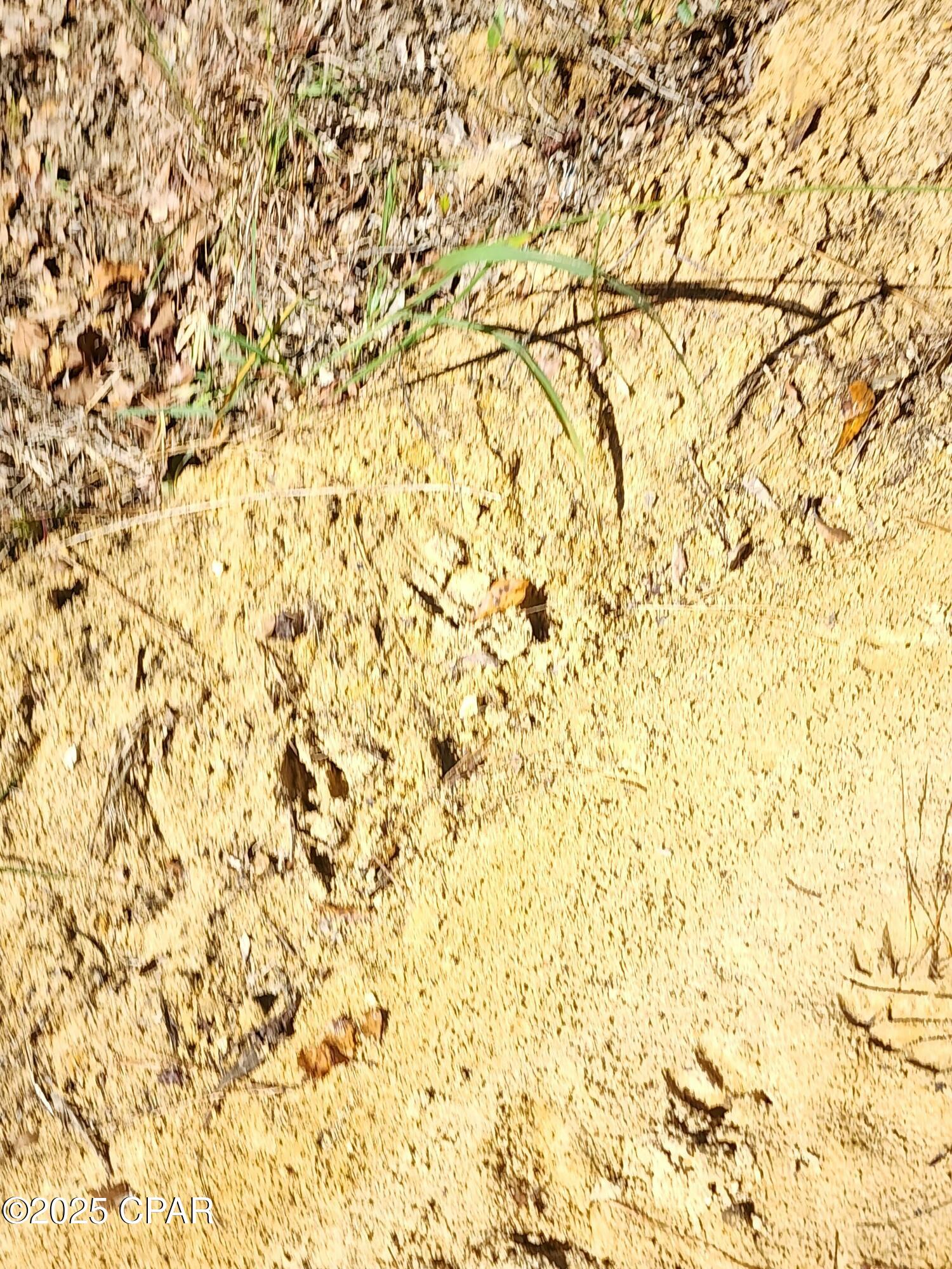 Image 15 For 0000 Pineridge Church Road