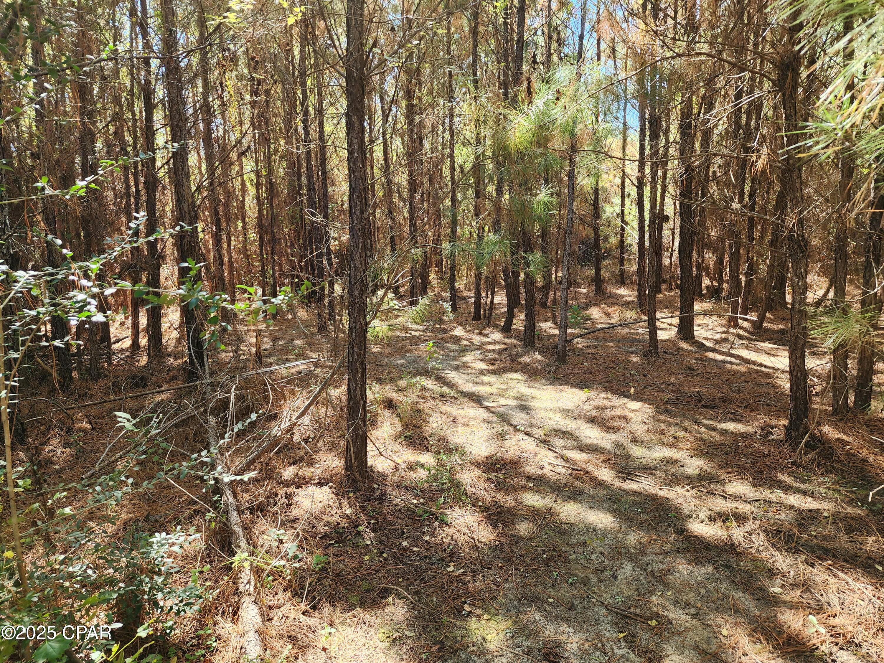 Image 16 For 0000 Pineridge Church Road