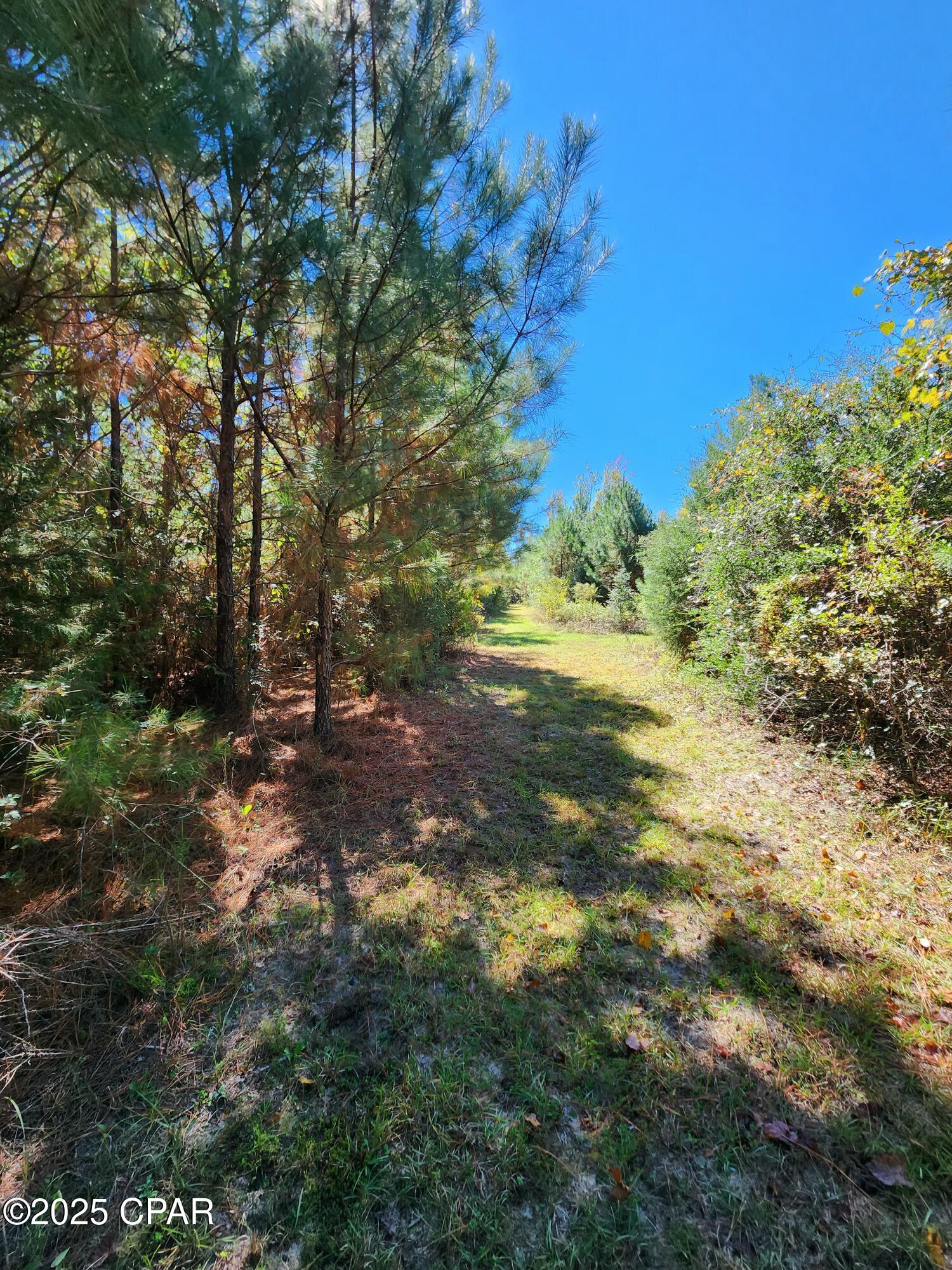 Image 18 For 0000 Pineridge Church Road