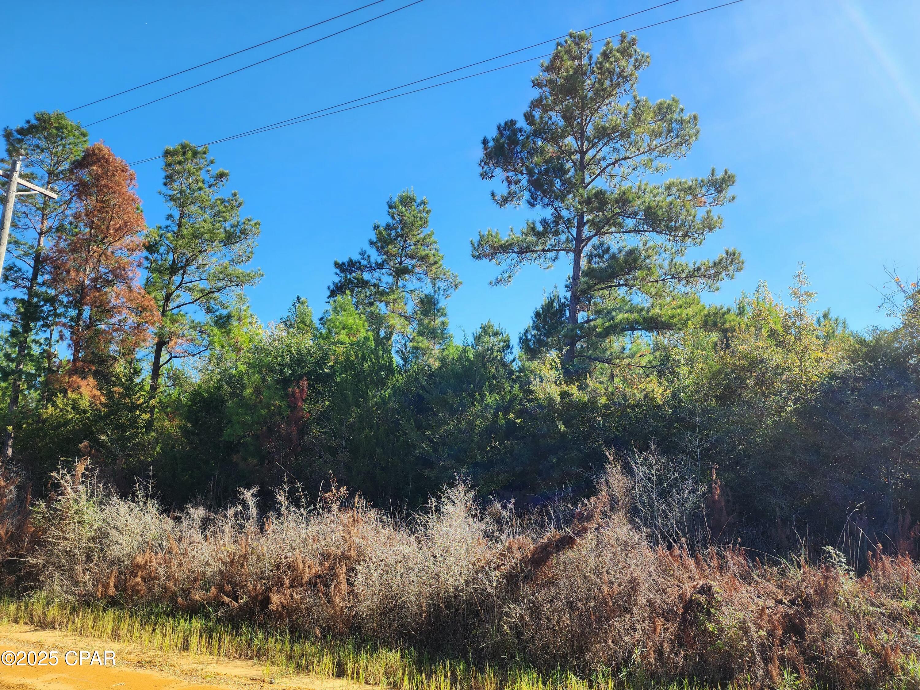 Image 2 For 0000 Pineridge Church Road