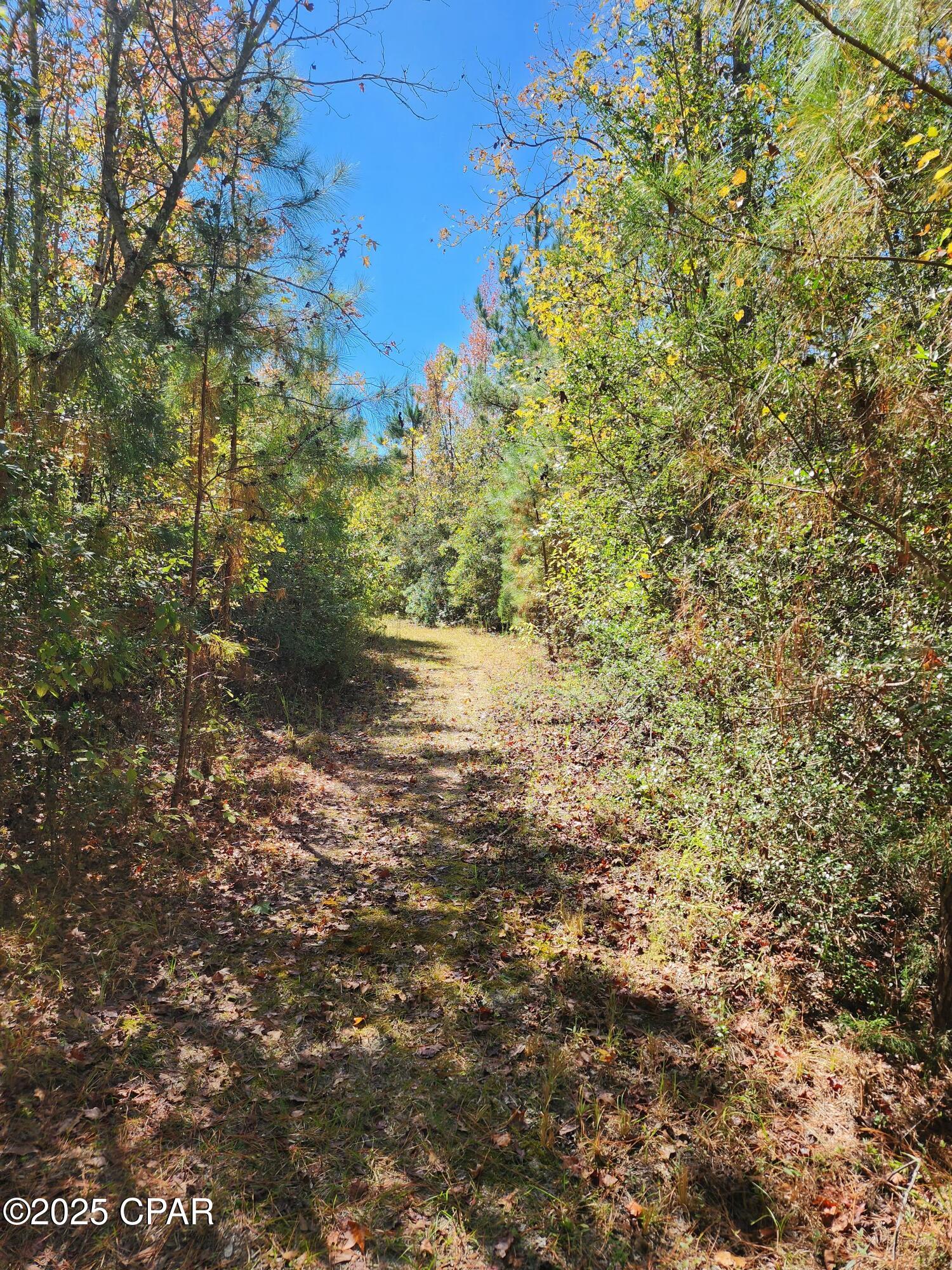 Image 21 For 0000 Pineridge Church Road