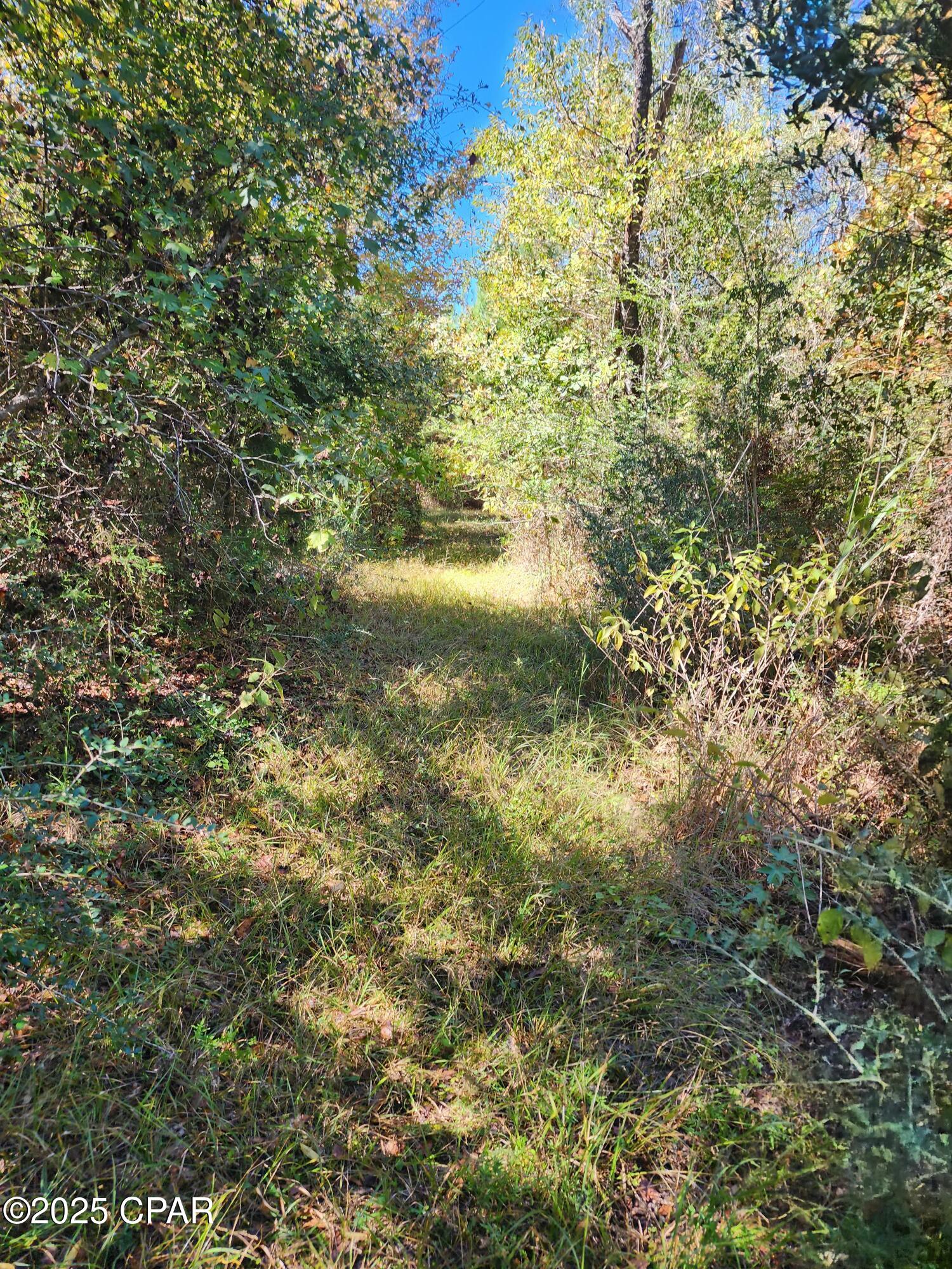 Image 22 For 0000 Pineridge Church Road