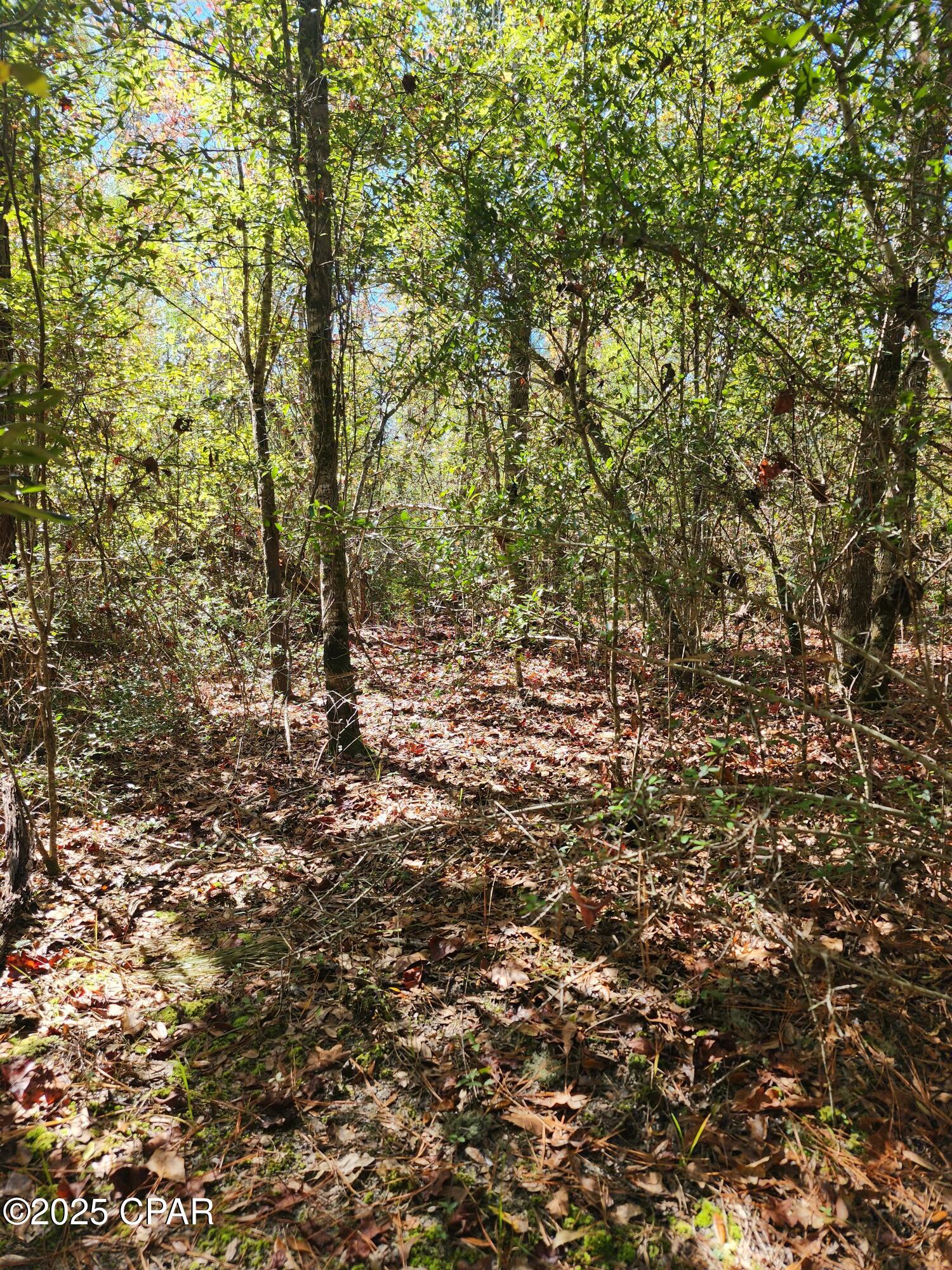 Image 23 For 0000 Pineridge Church Road