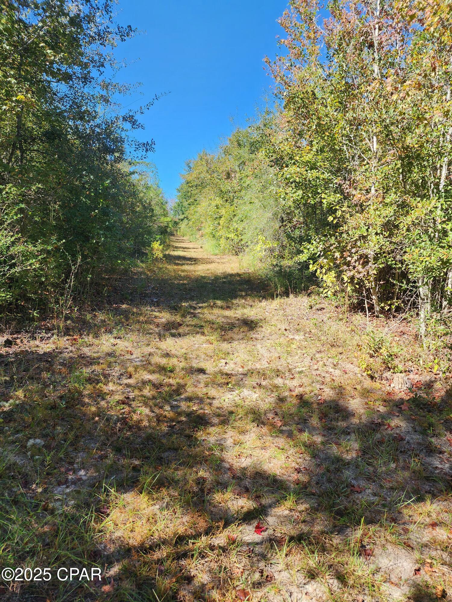 Image 24 For 0000 Pineridge Church Road