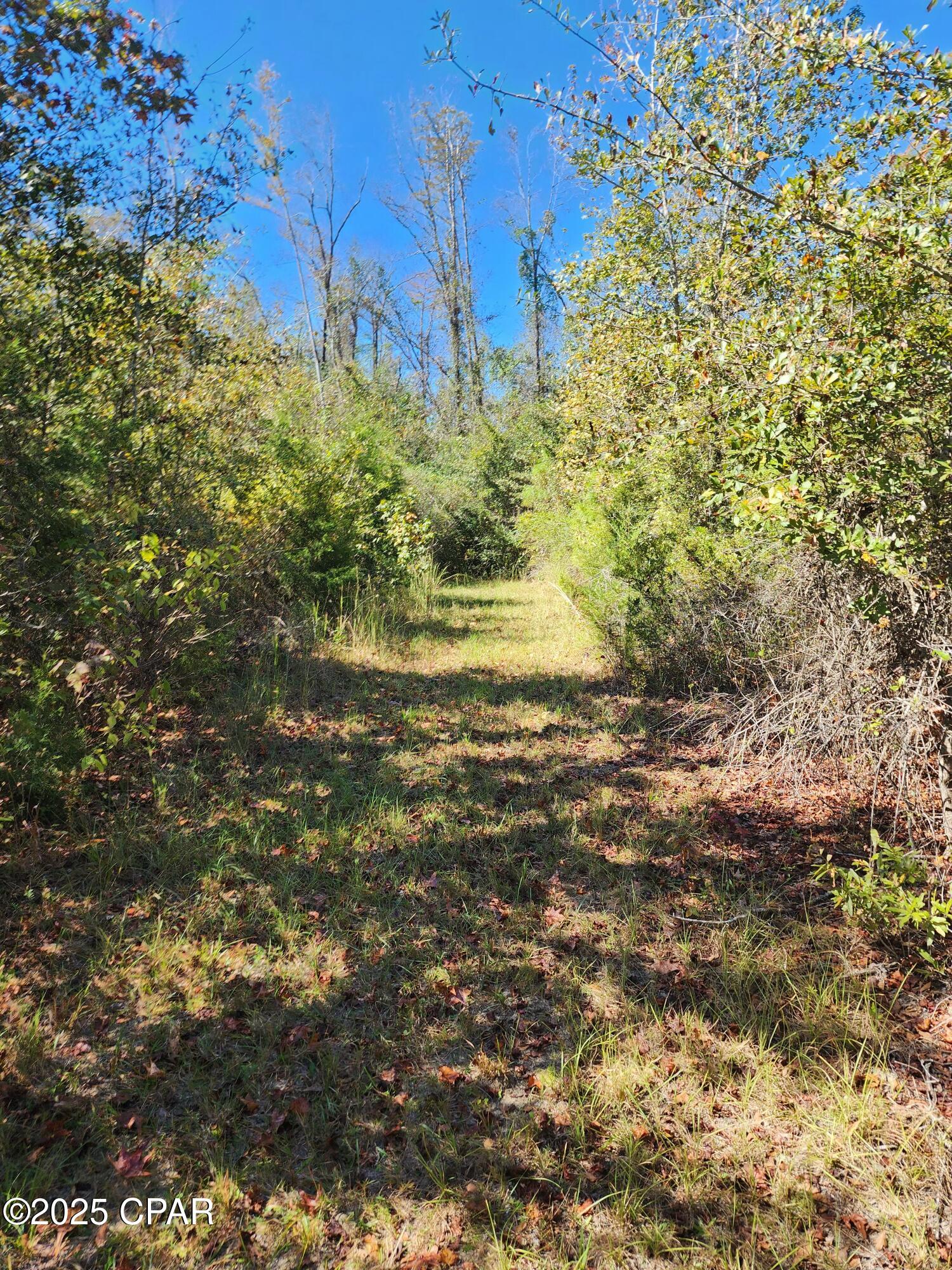 Image 25 For 0000 Pineridge Church Road