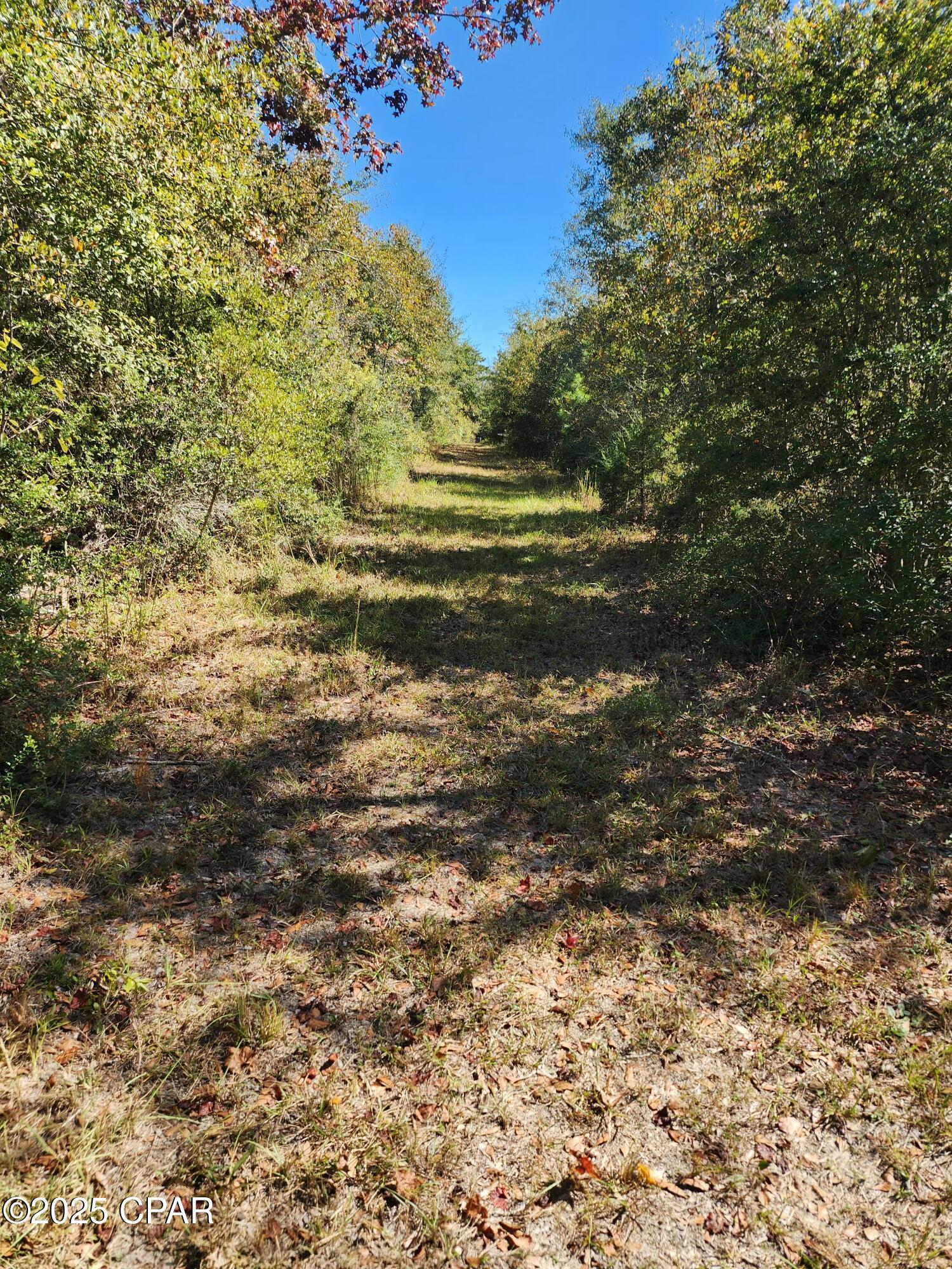 Image 26 For 0000 Pineridge Church Road