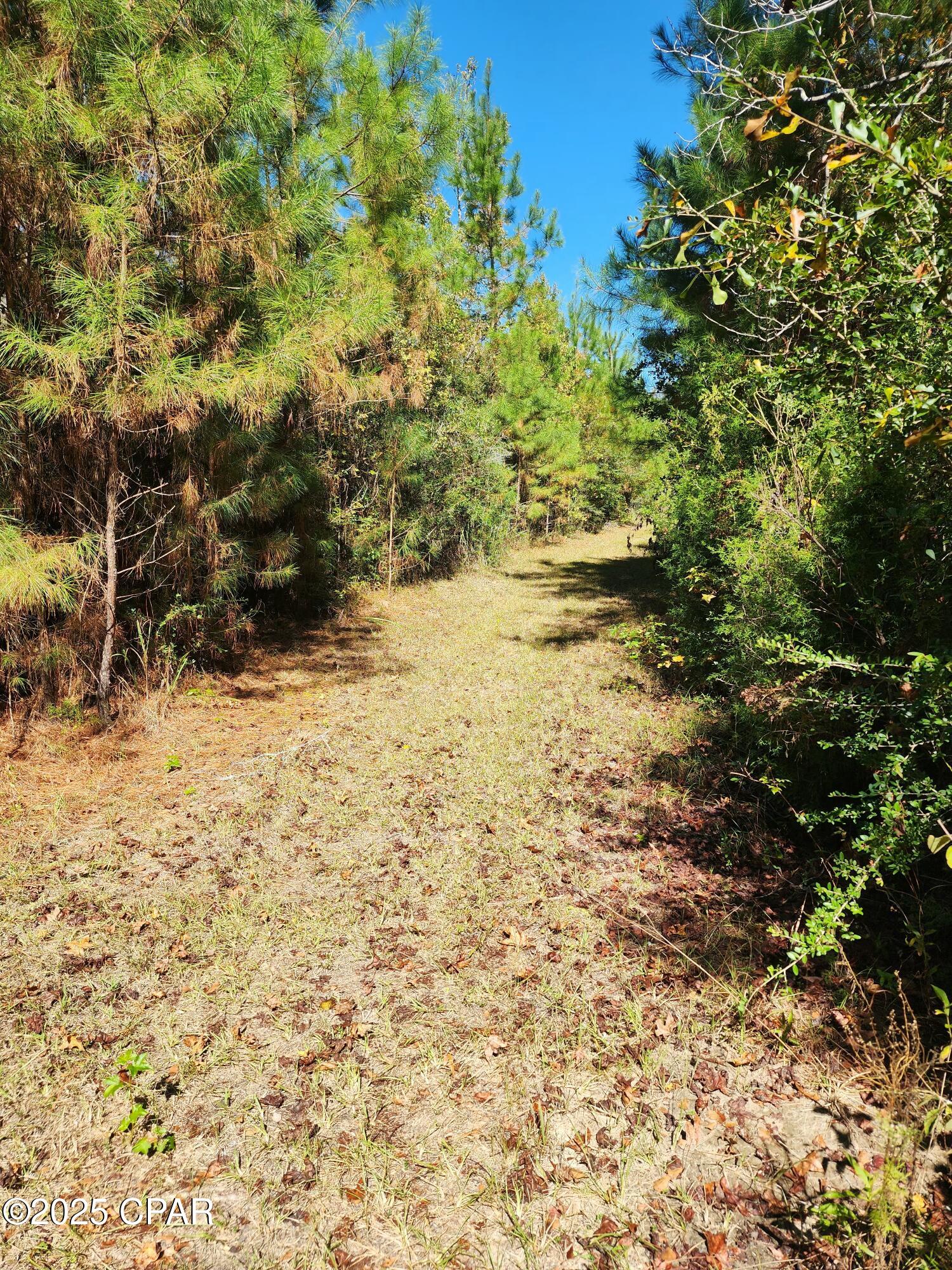 Image 27 For 0000 Pineridge Church Road