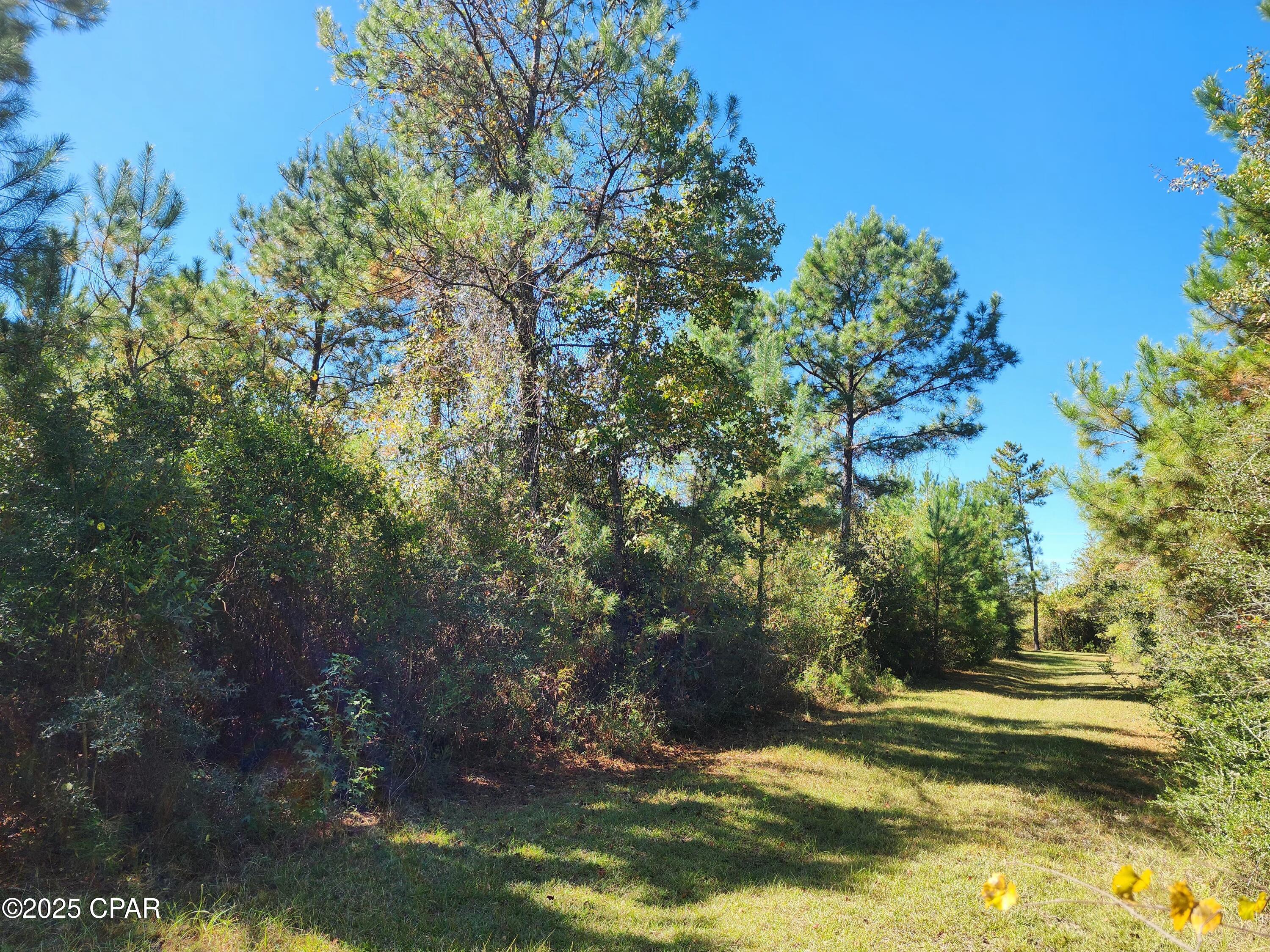 Image 28 For 0000 Pineridge Church Road